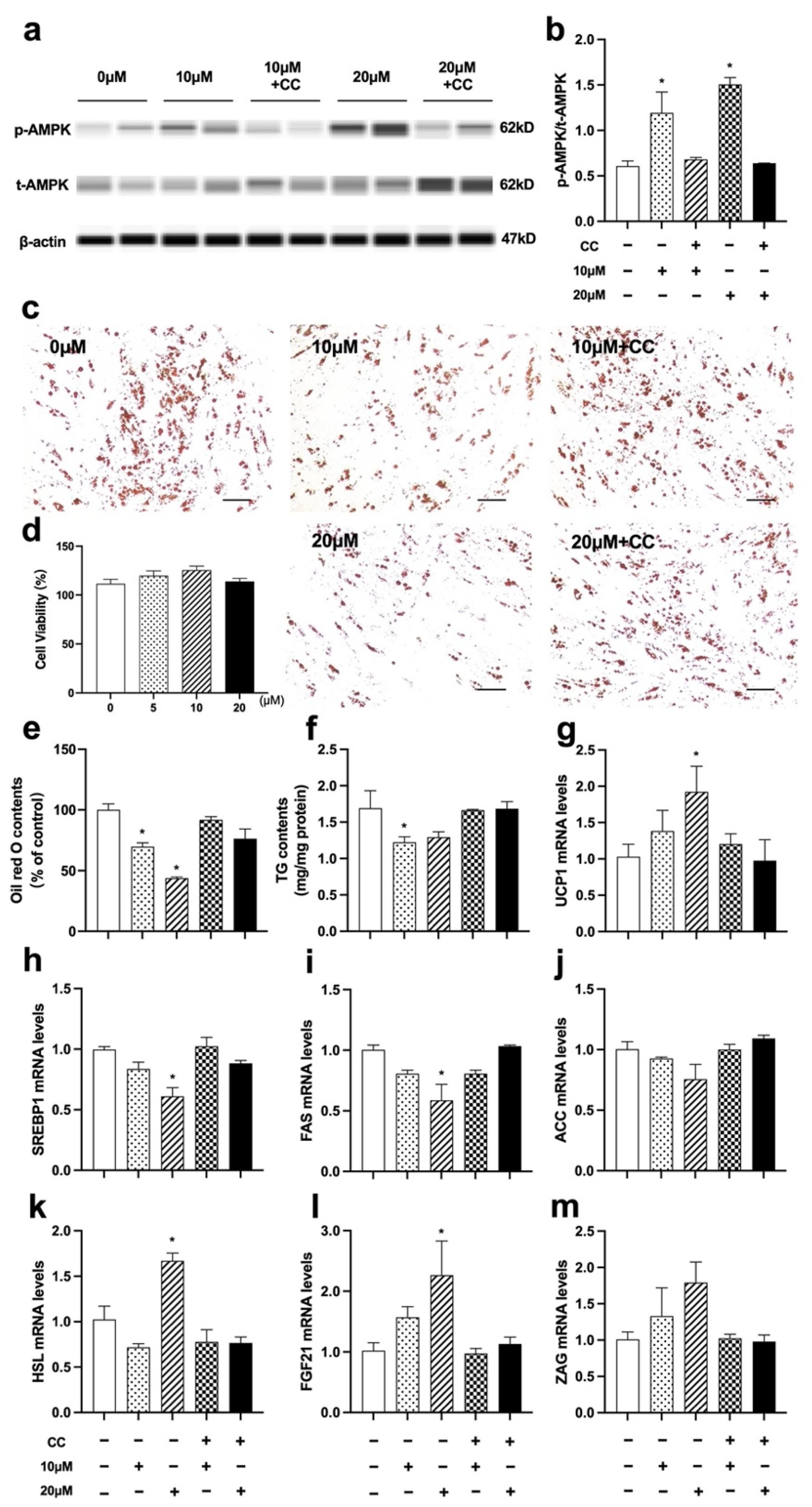 Nutrients 14 01898 g009