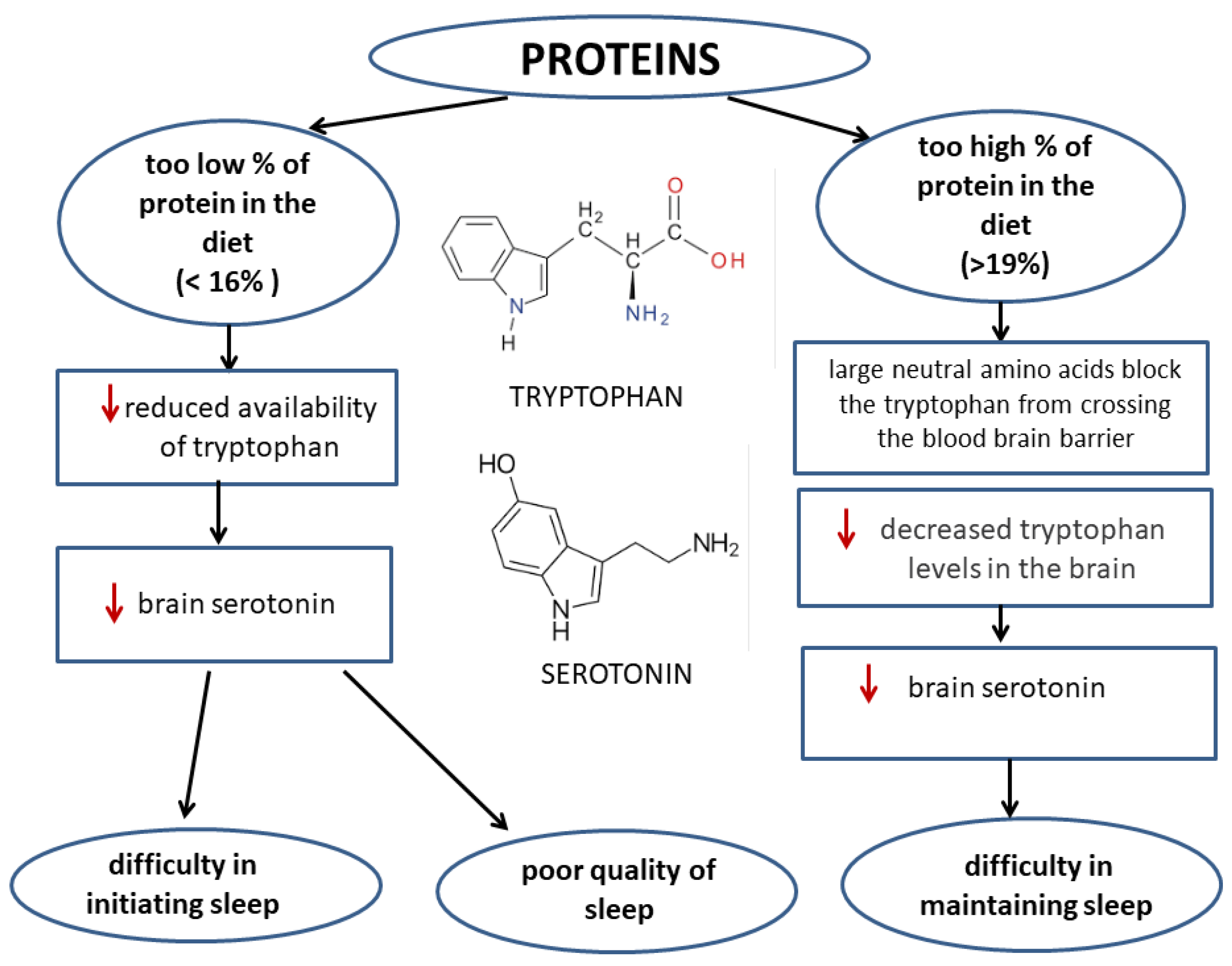 Nutrients 14 01912 g003 Nutrients 14 01912 g003