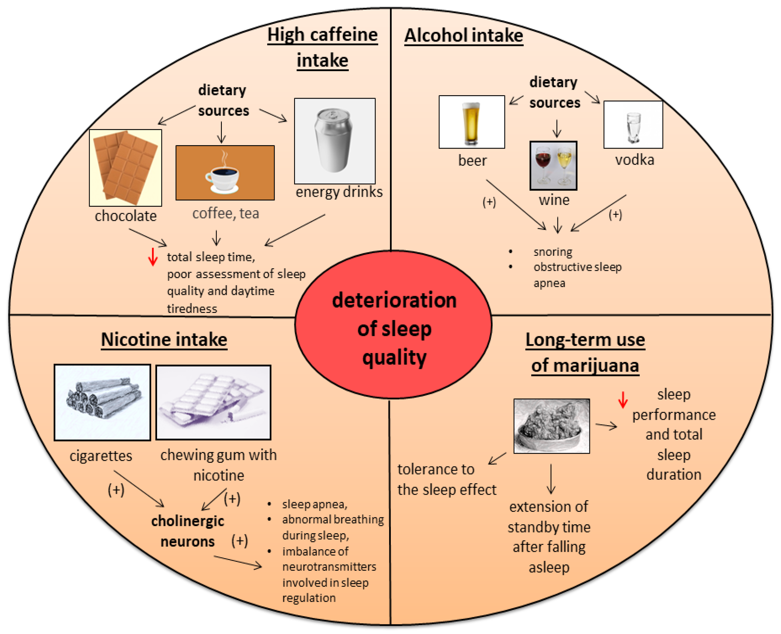 Nutrients 14 01912 g005 Nutrients 14 01912 g005
