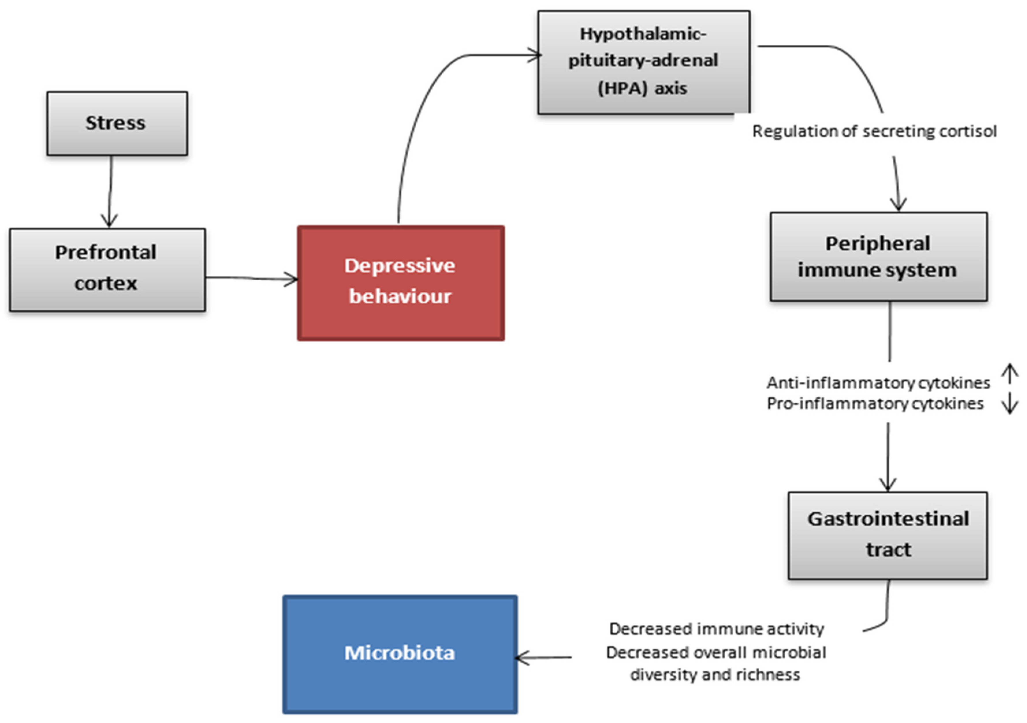 Nutrients 14 01921 g001