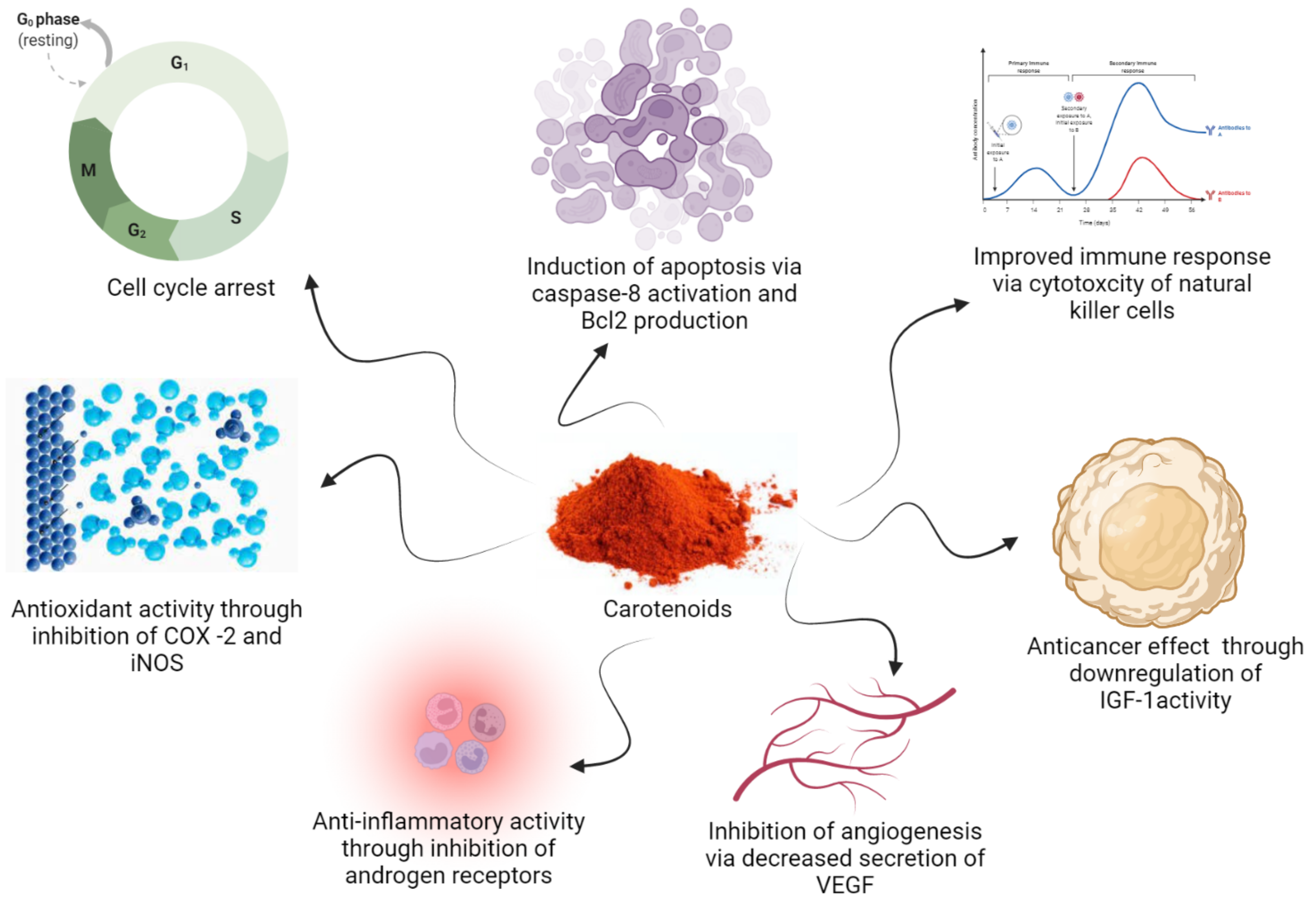Nutrients 14 01949 g003