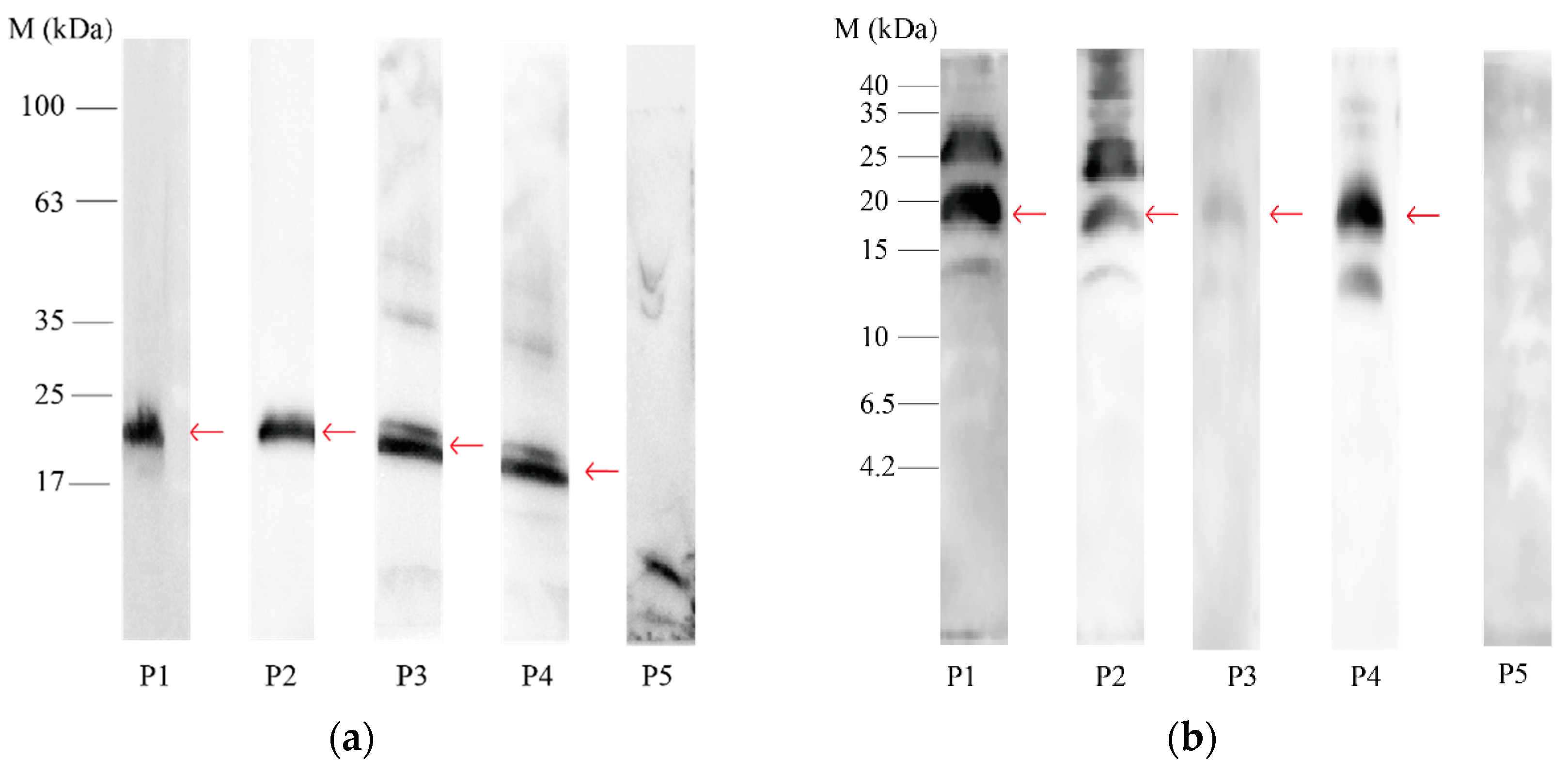 Nutrients 14 01962 g002