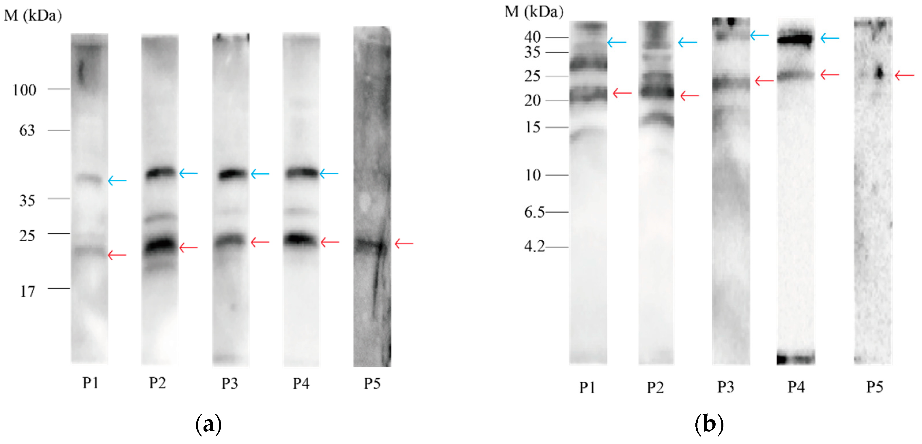 Nutrients 14 01962 g003