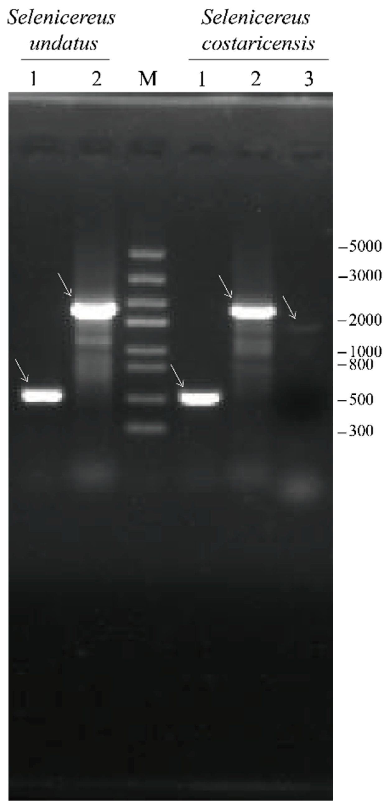 Nutrients 14 01962 g004