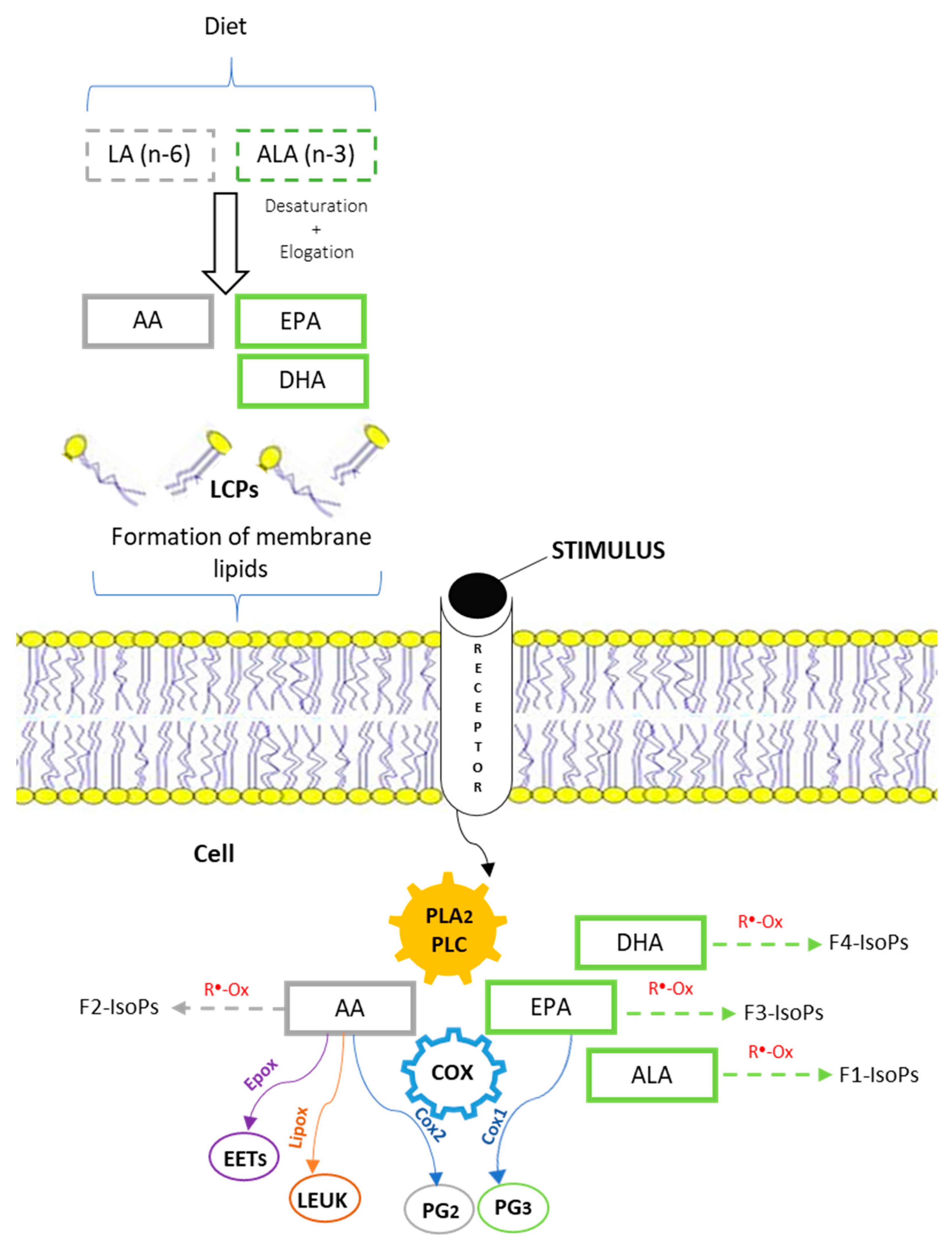 Nutrients 14 01969 g003