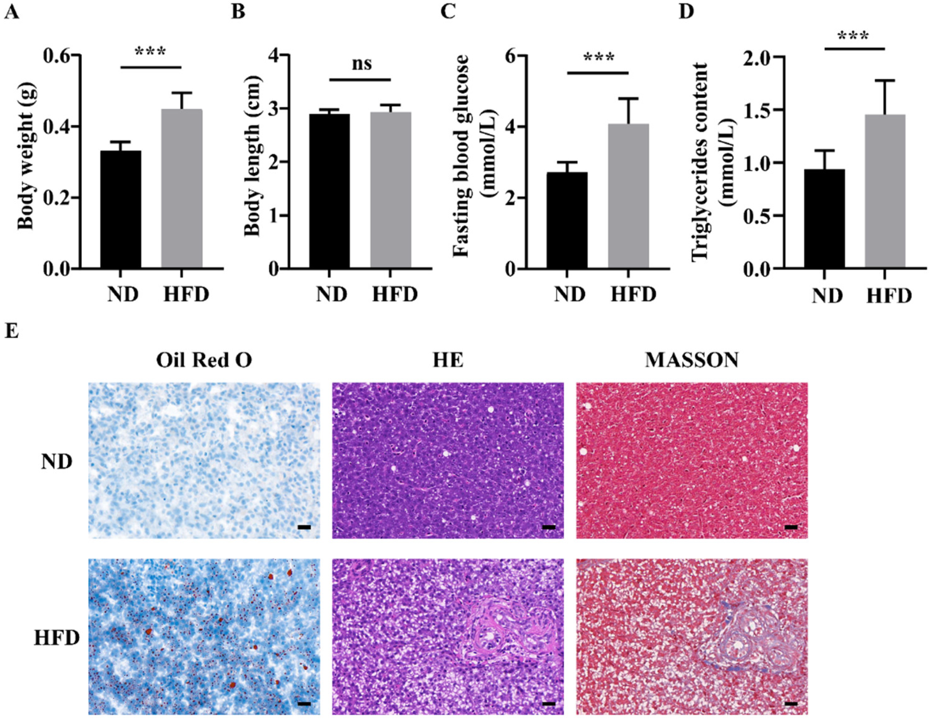 Nutrients 14 01975 g001