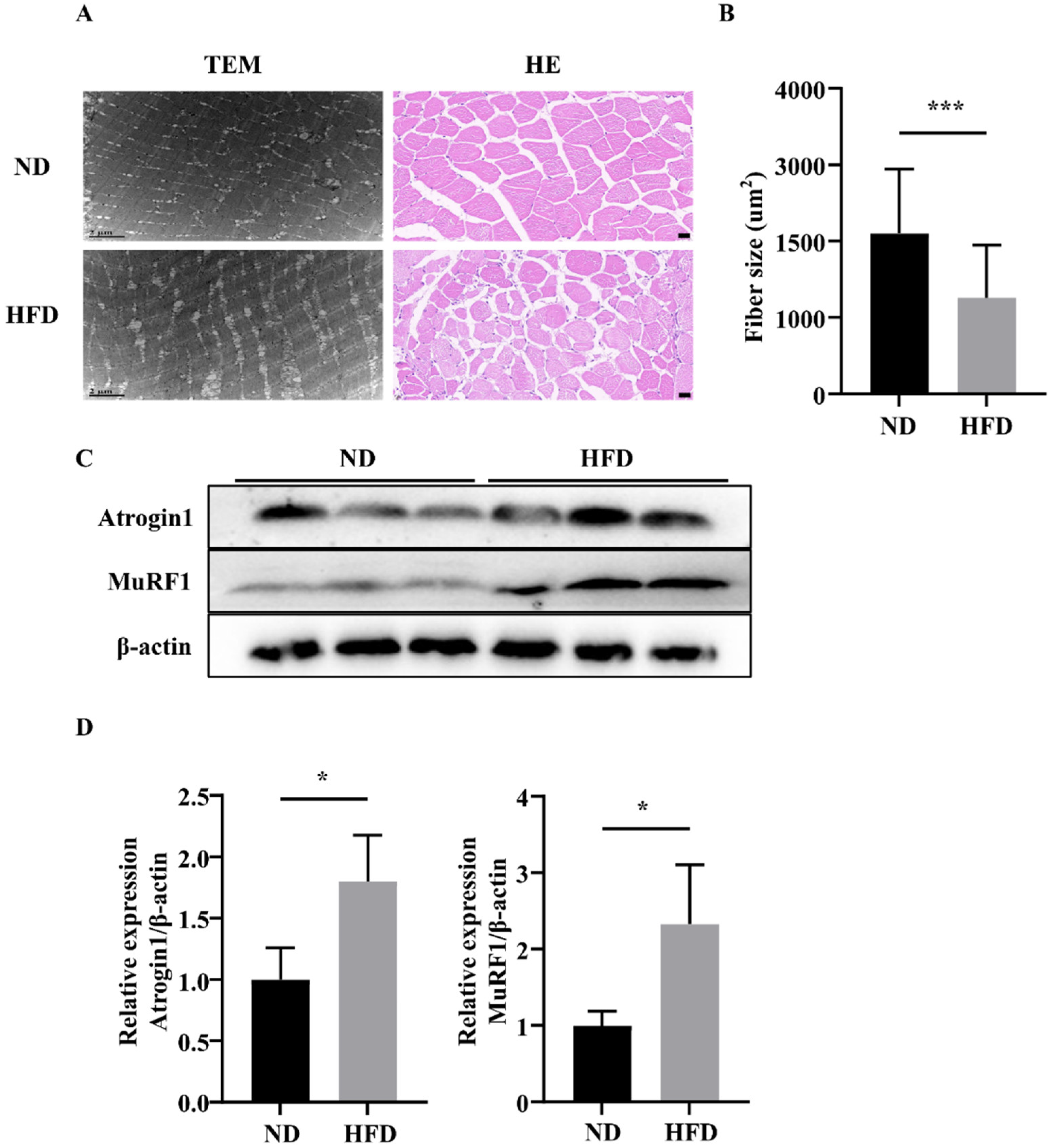 Nutrients 14 01975 g002