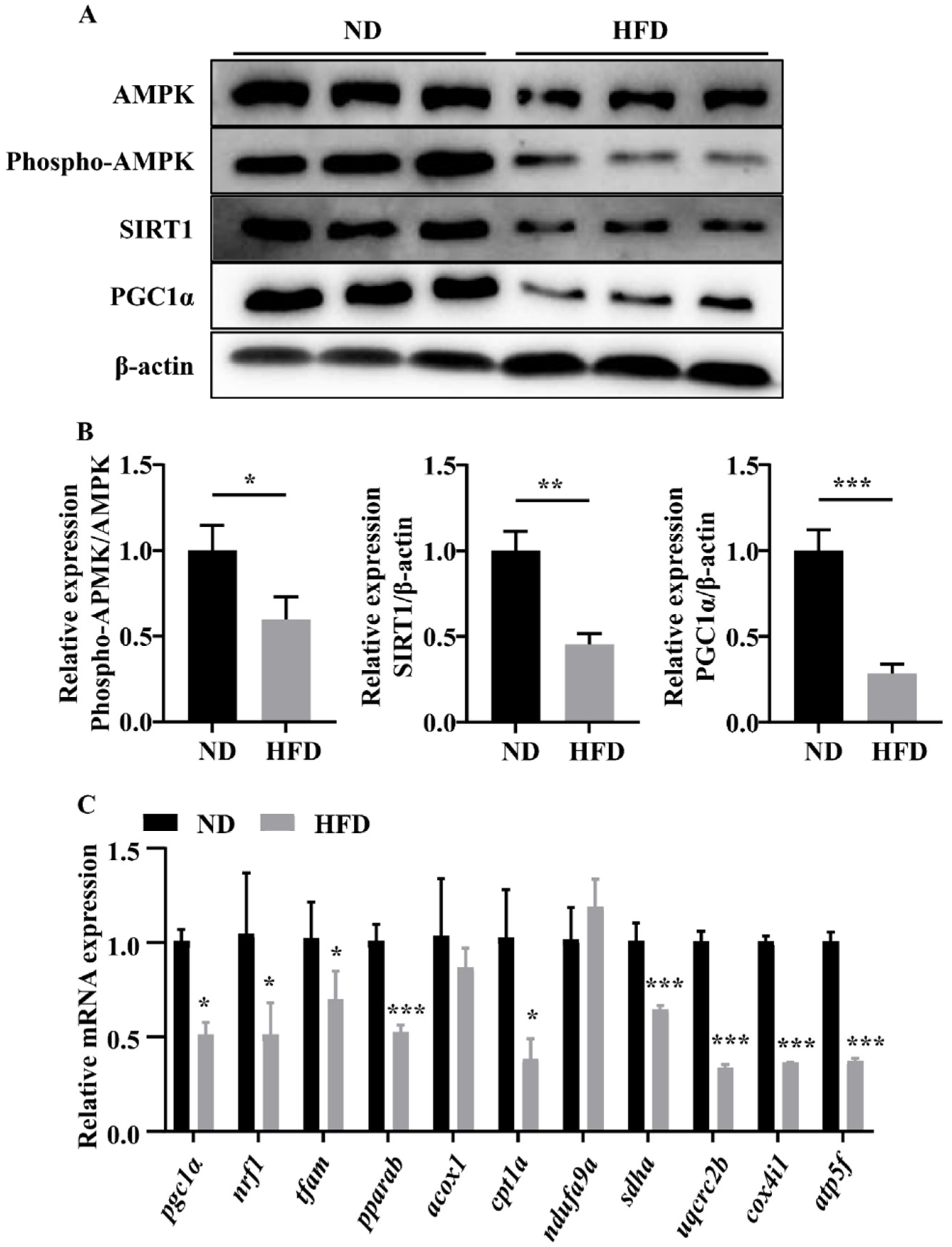 Nutrients 14 01975 g004