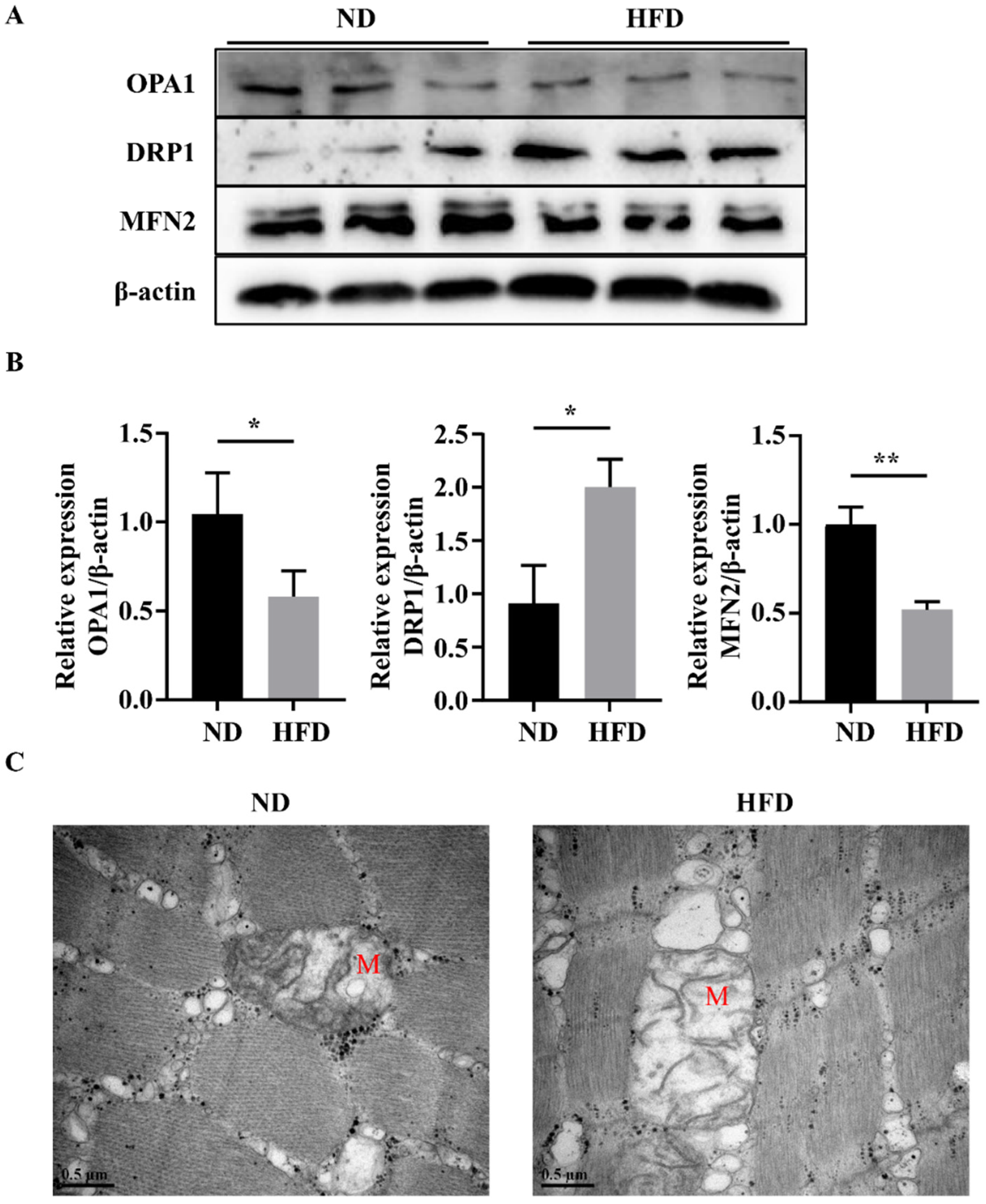 Nutrients 14 01975 g005