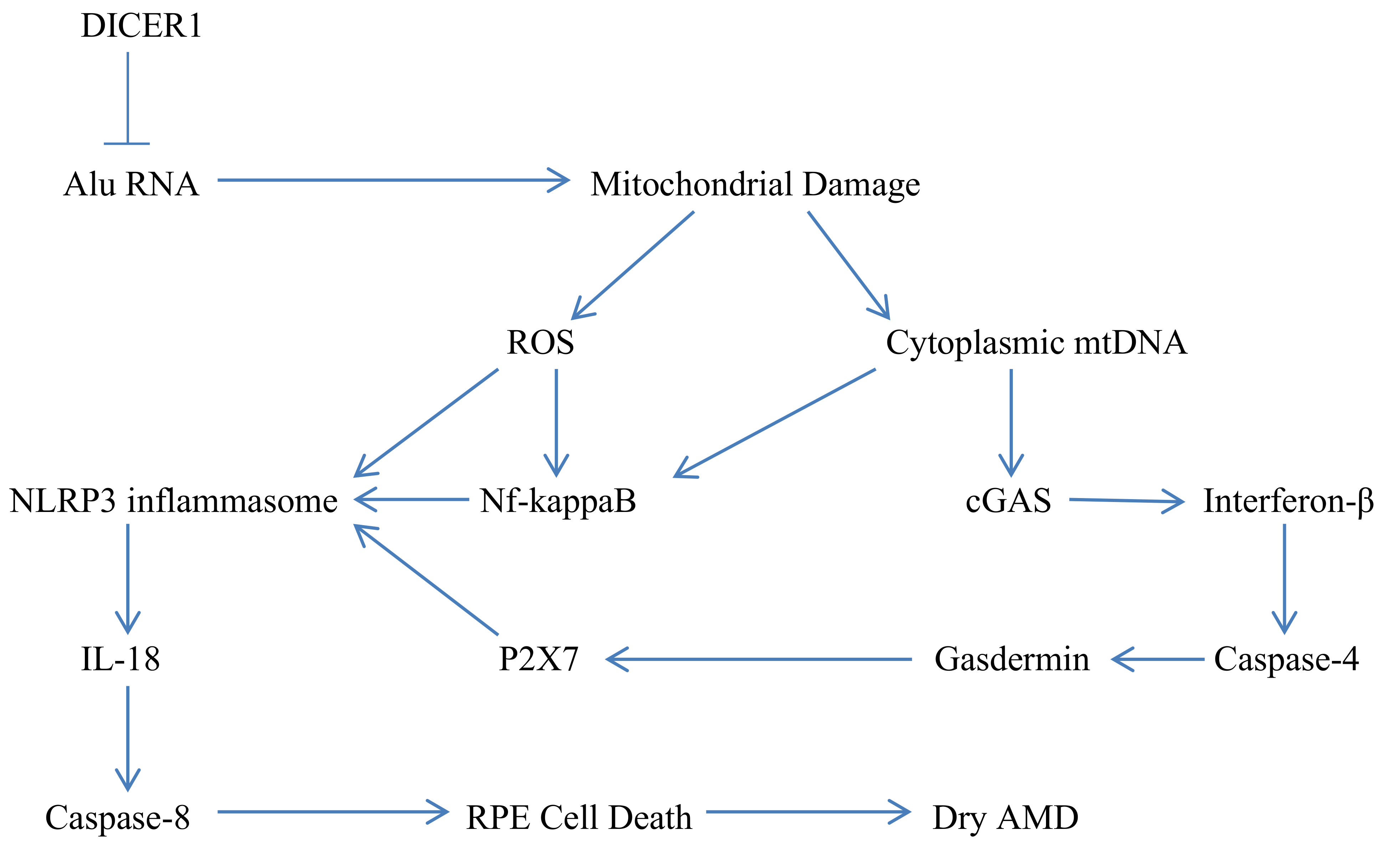 Nutrients 14 01985 g001 Nutrients 14 01985 g001