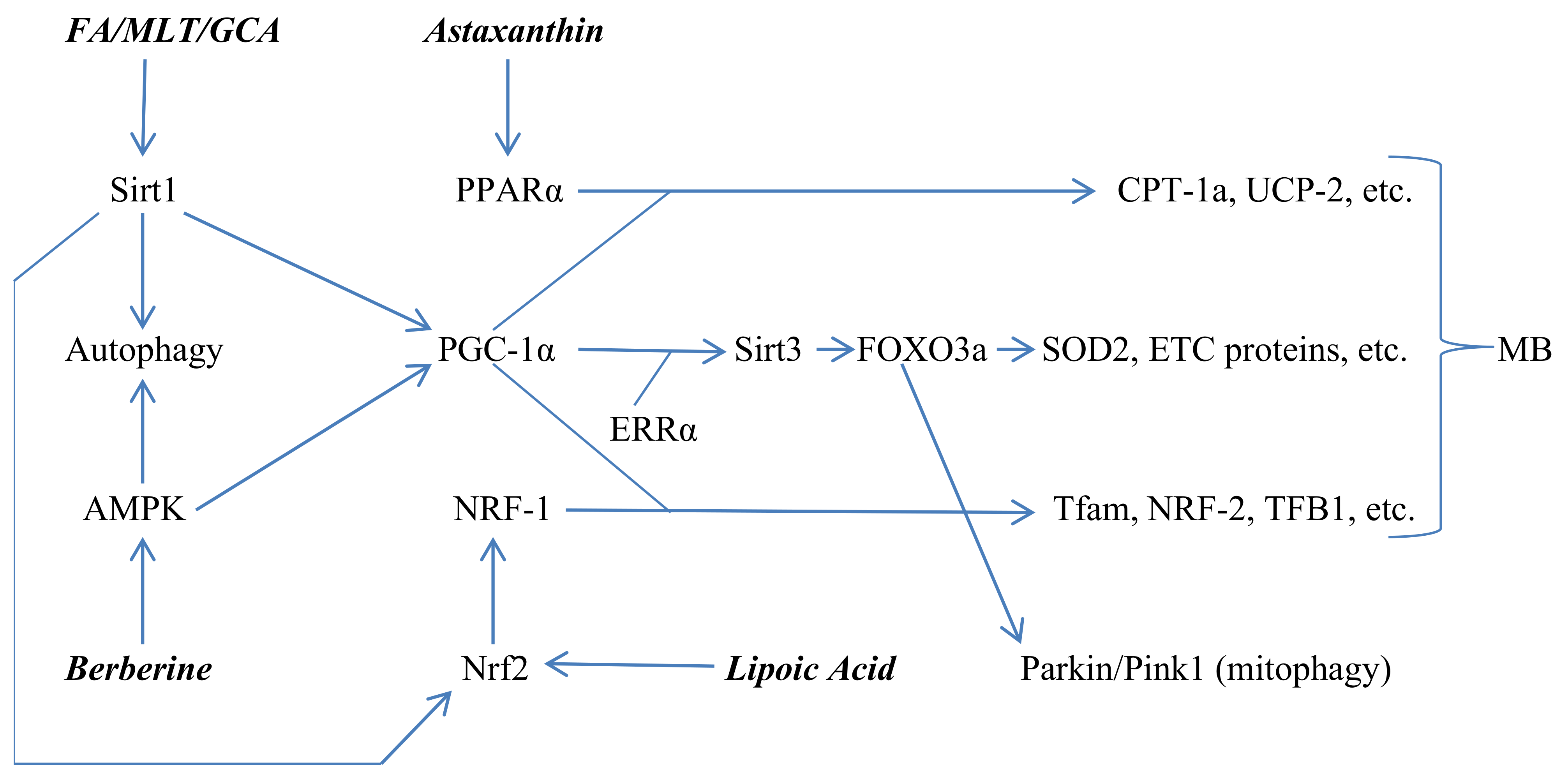 Nutrients 14 01985 g002 Nutrients 14 01985 g002