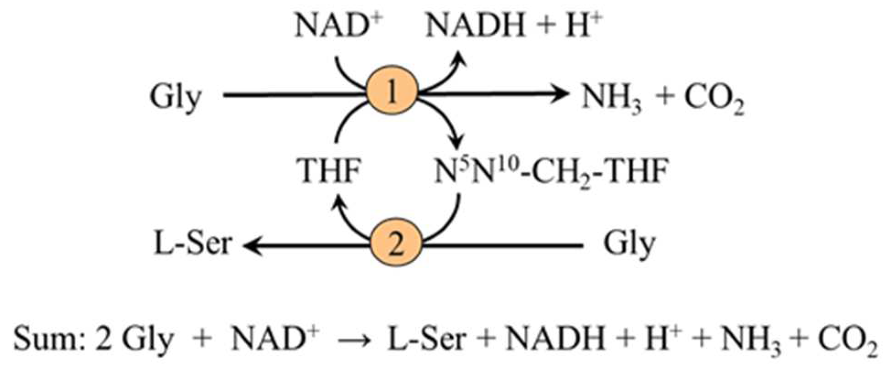 Nutrients 14 01987 g003