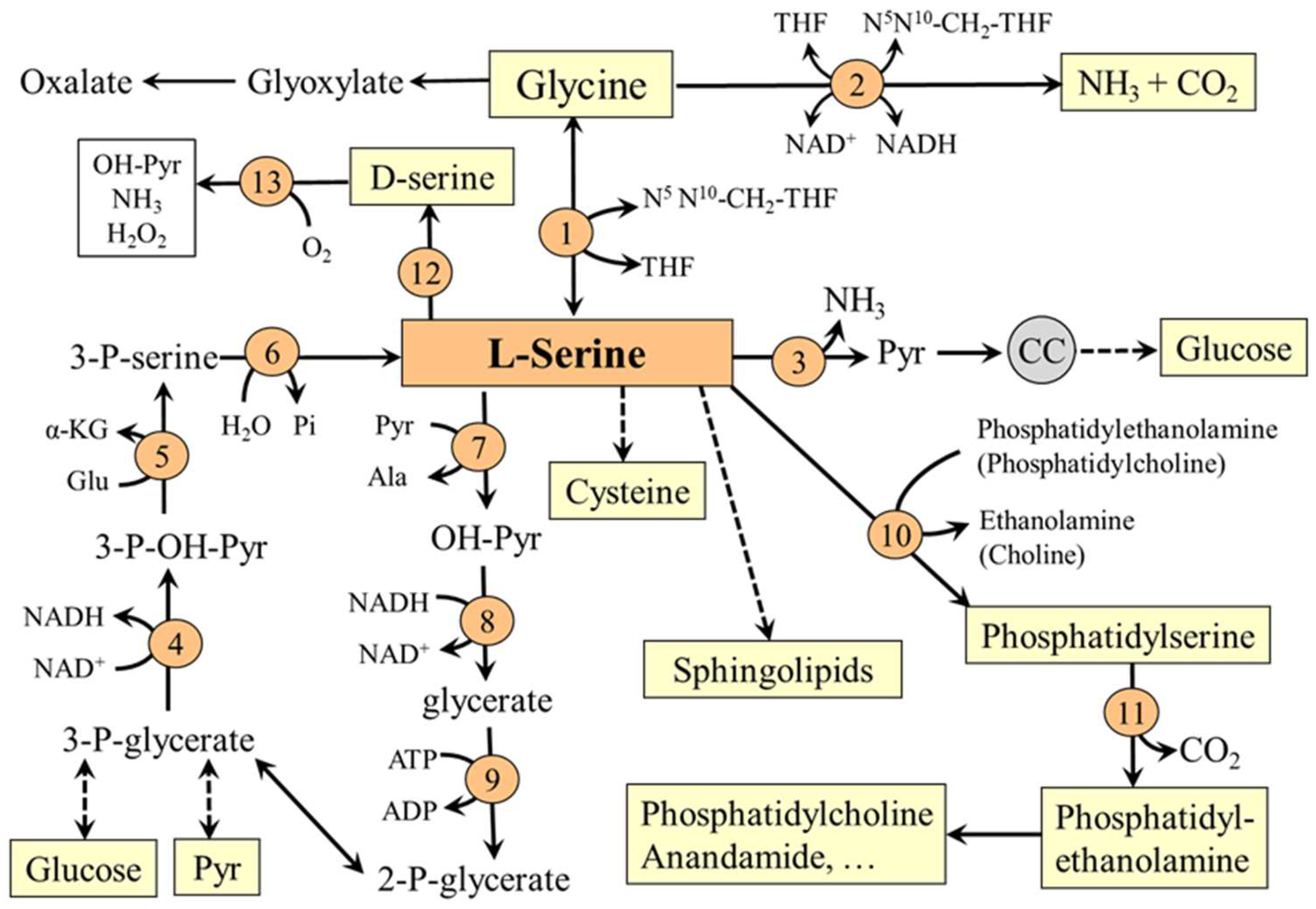 Nutrients 14 01987 g004