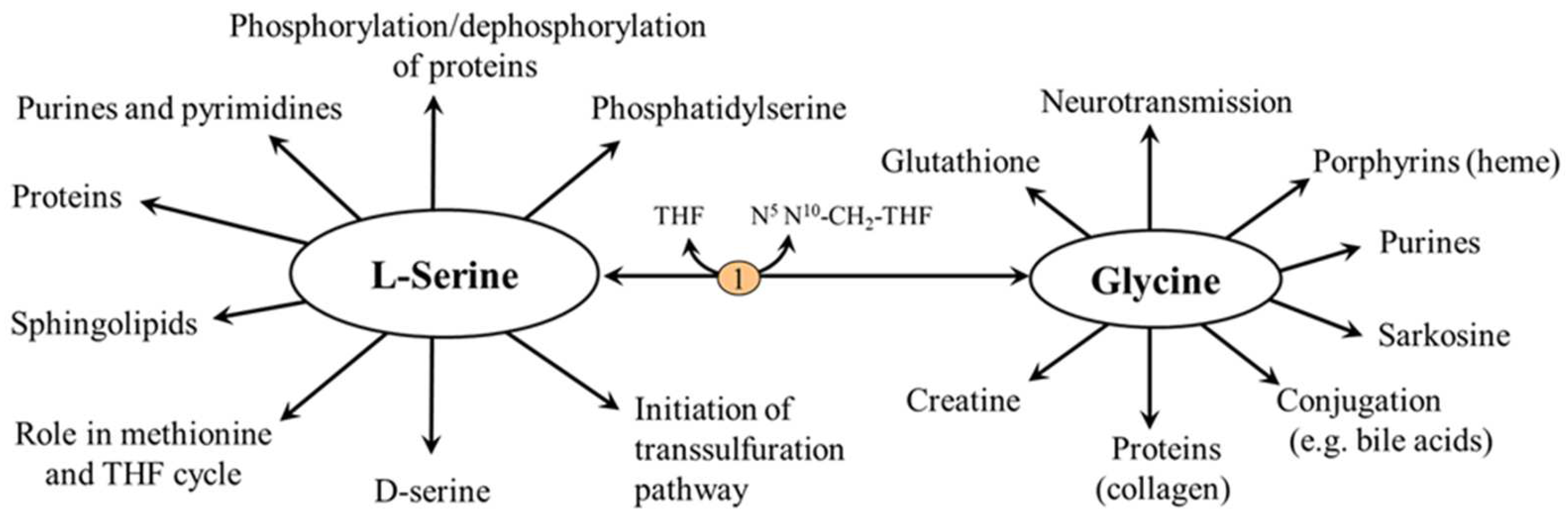 Nutrients 14 01987 g005