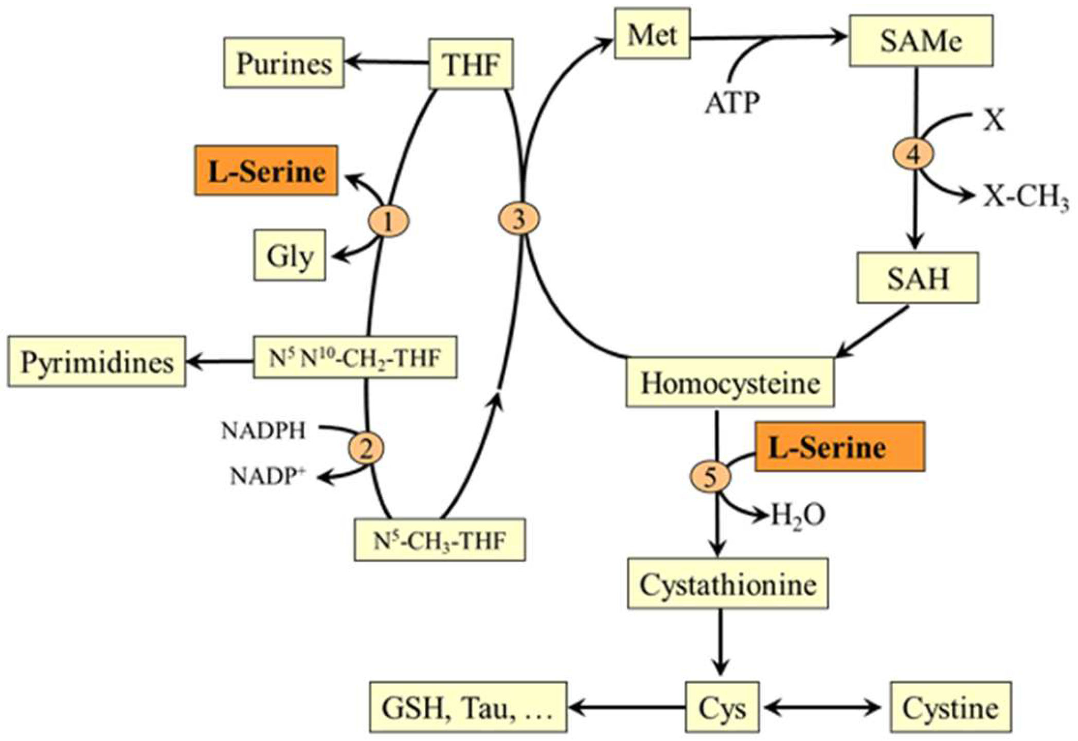 Nutrients 14 01987 g006