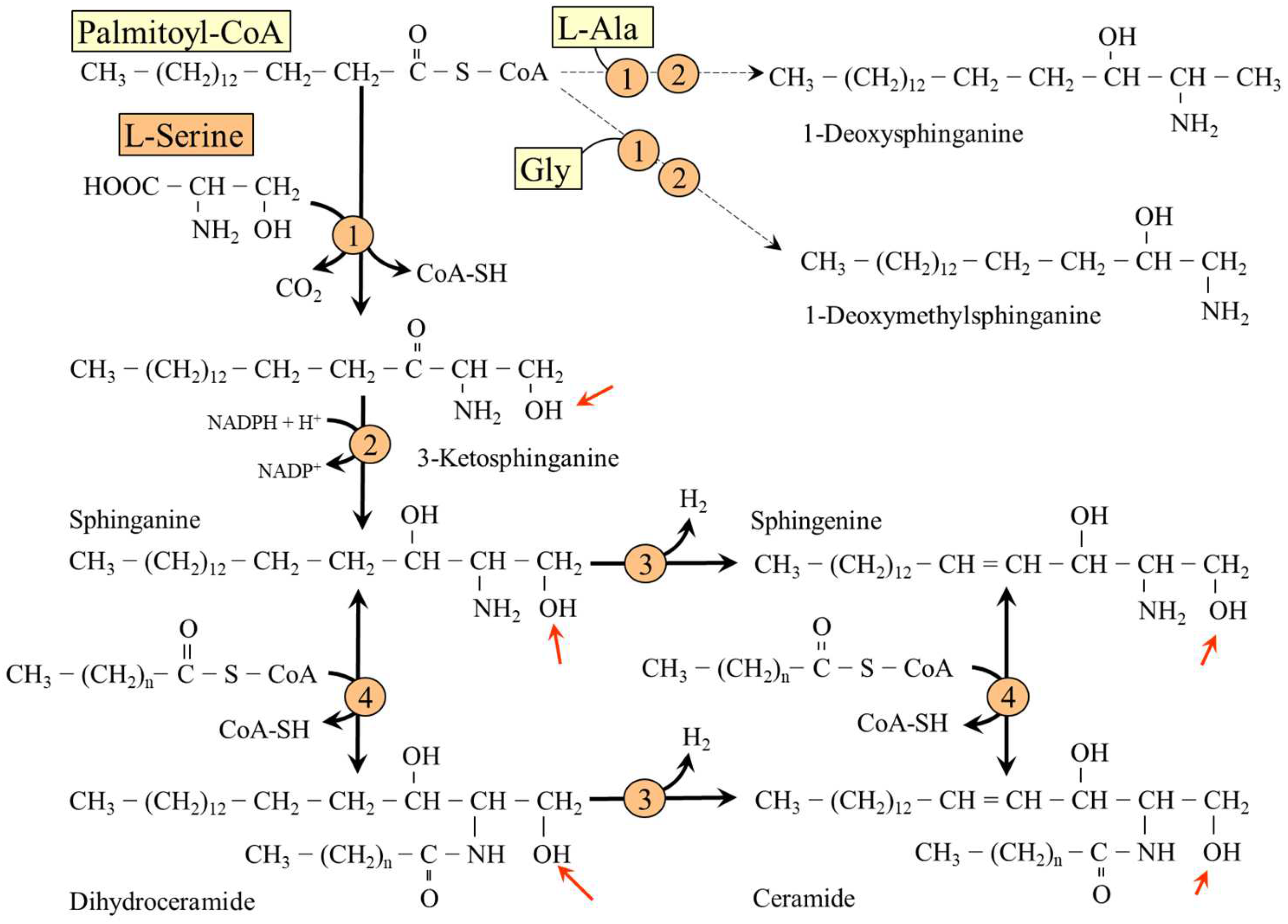 Nutrients 14 01987 g007