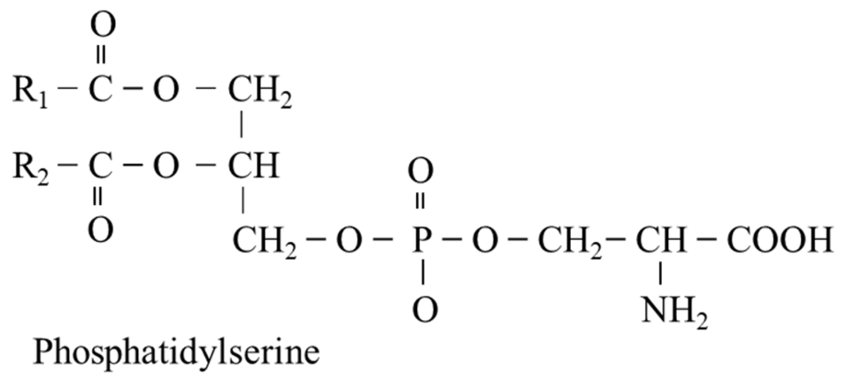 Nutrients 14 01987 g008
