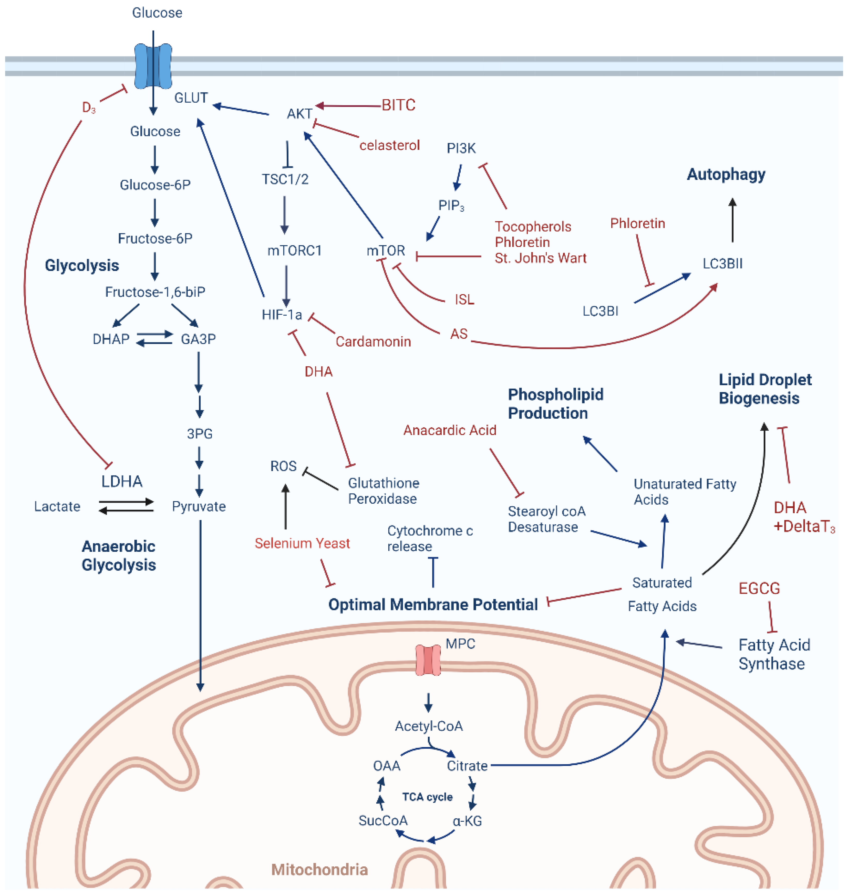 Nutrients 14 01990 g001