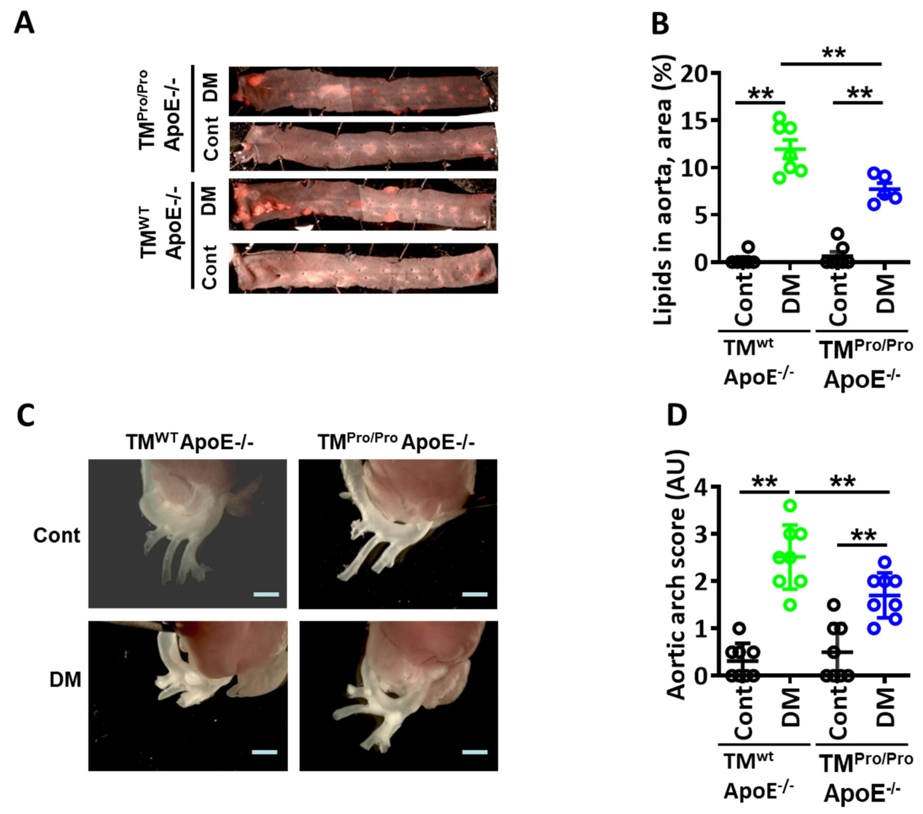Nutrients 14 01991 g002