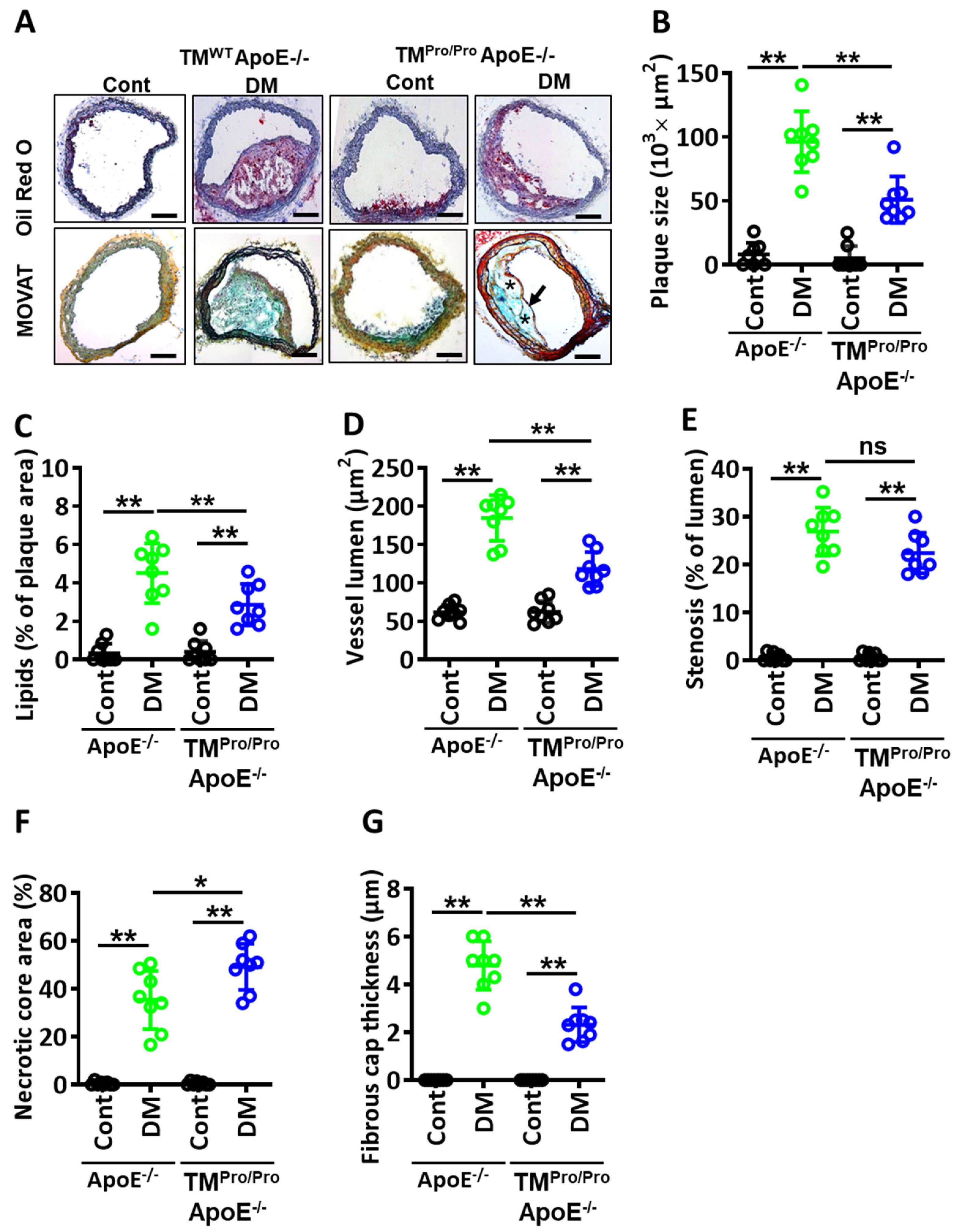 Nutrients 14 01991 g003