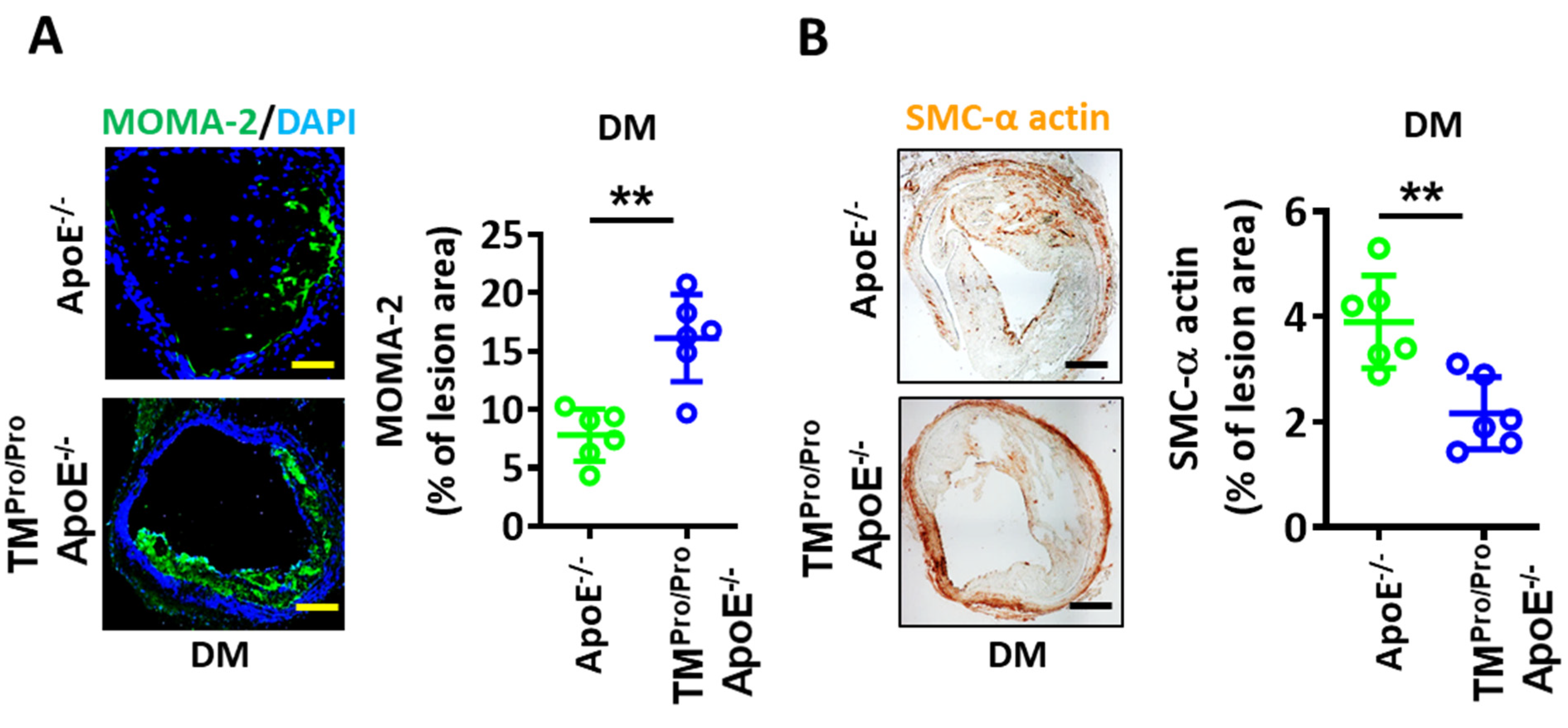 Nutrients 14 01991 g004
