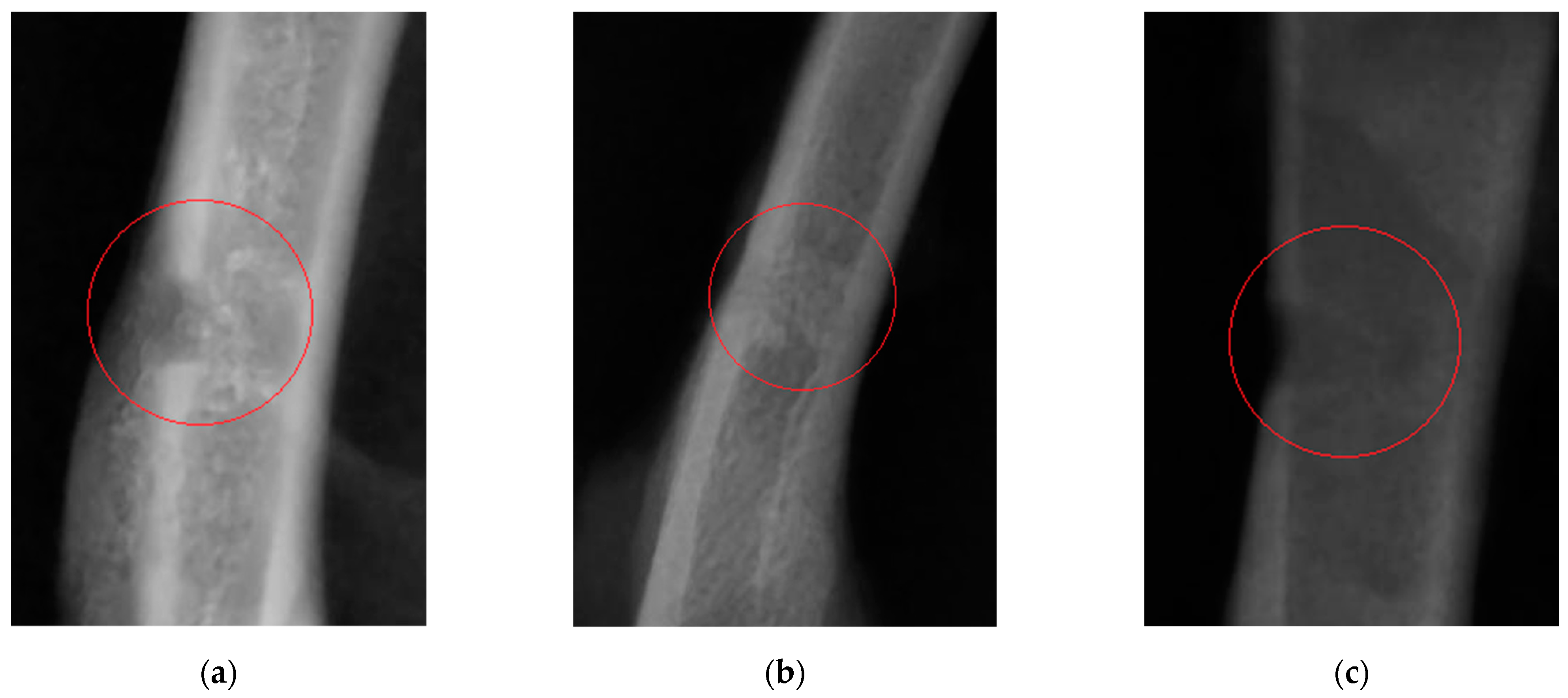 Nutrients 14 01992 g001