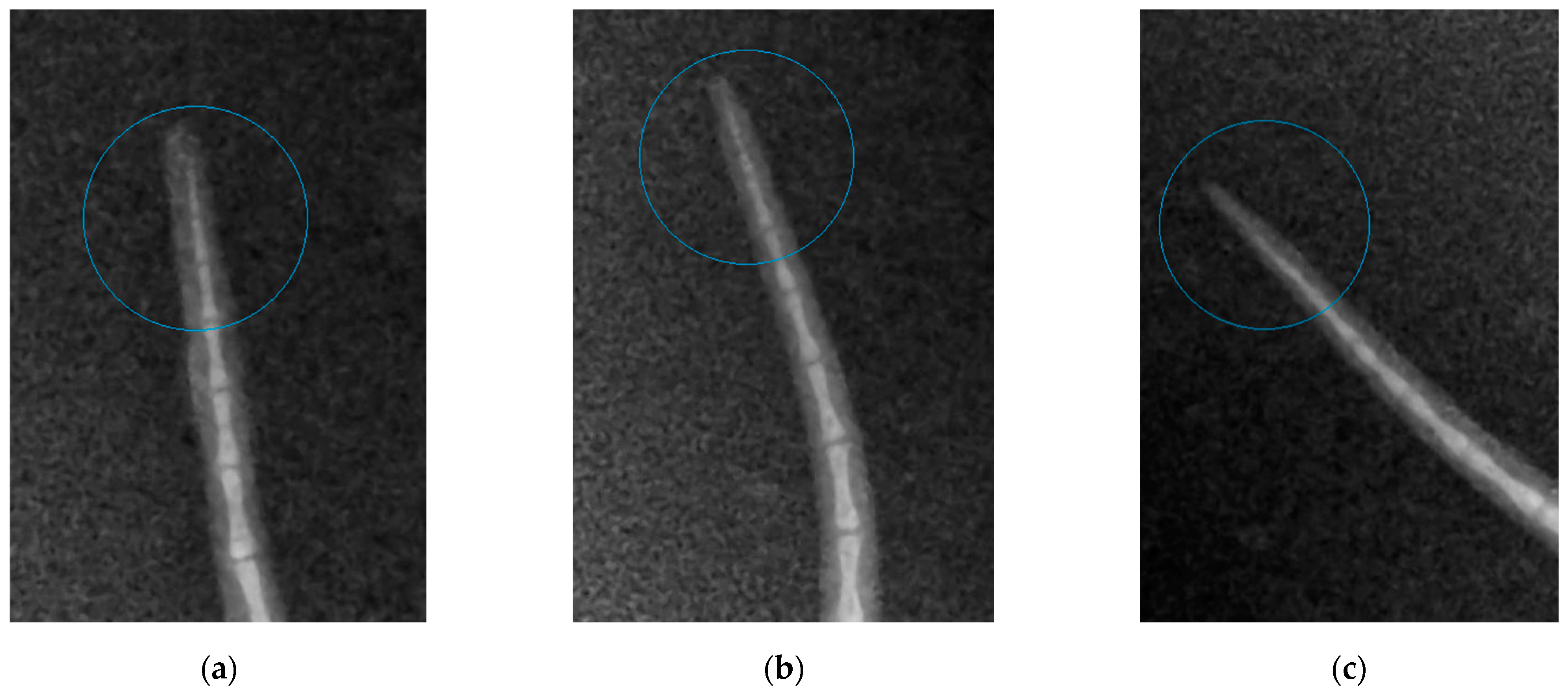 Nutrients 14 01992 g002