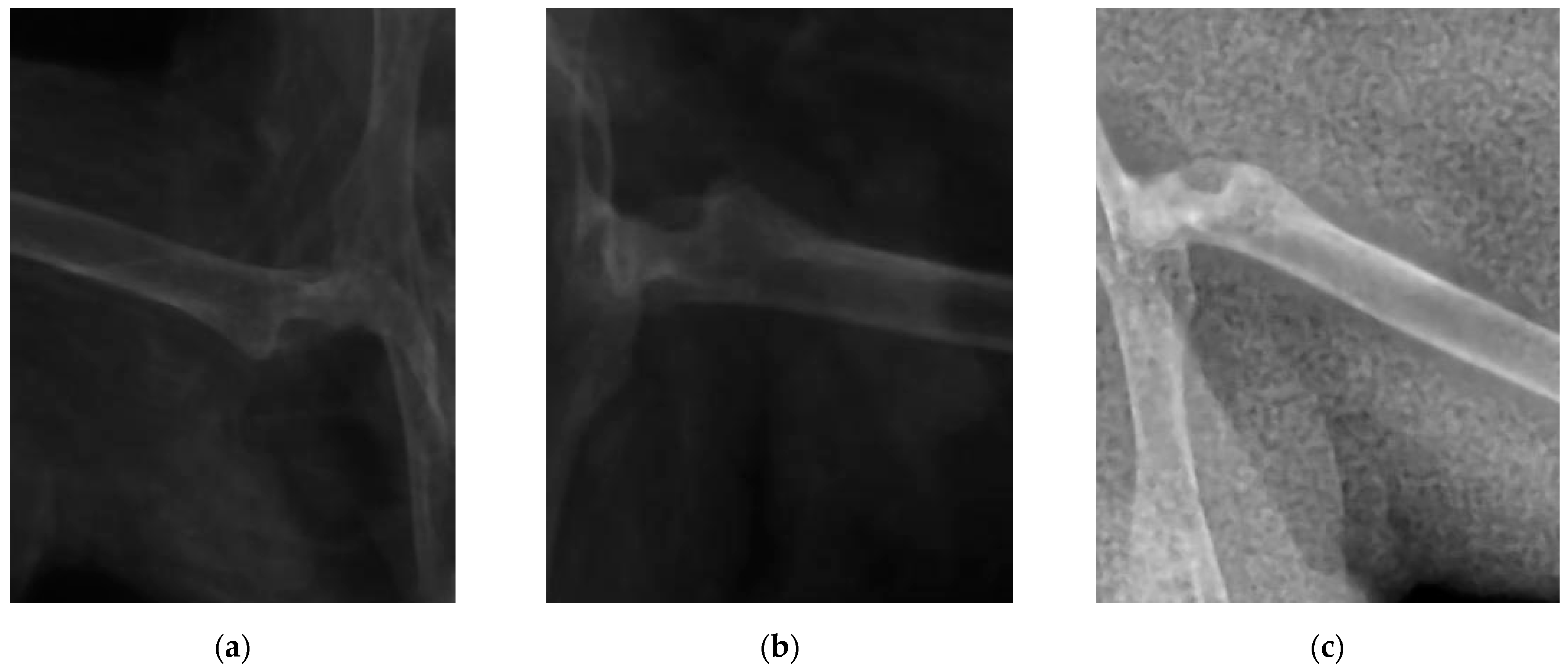 Nutrients 14 01992 g003