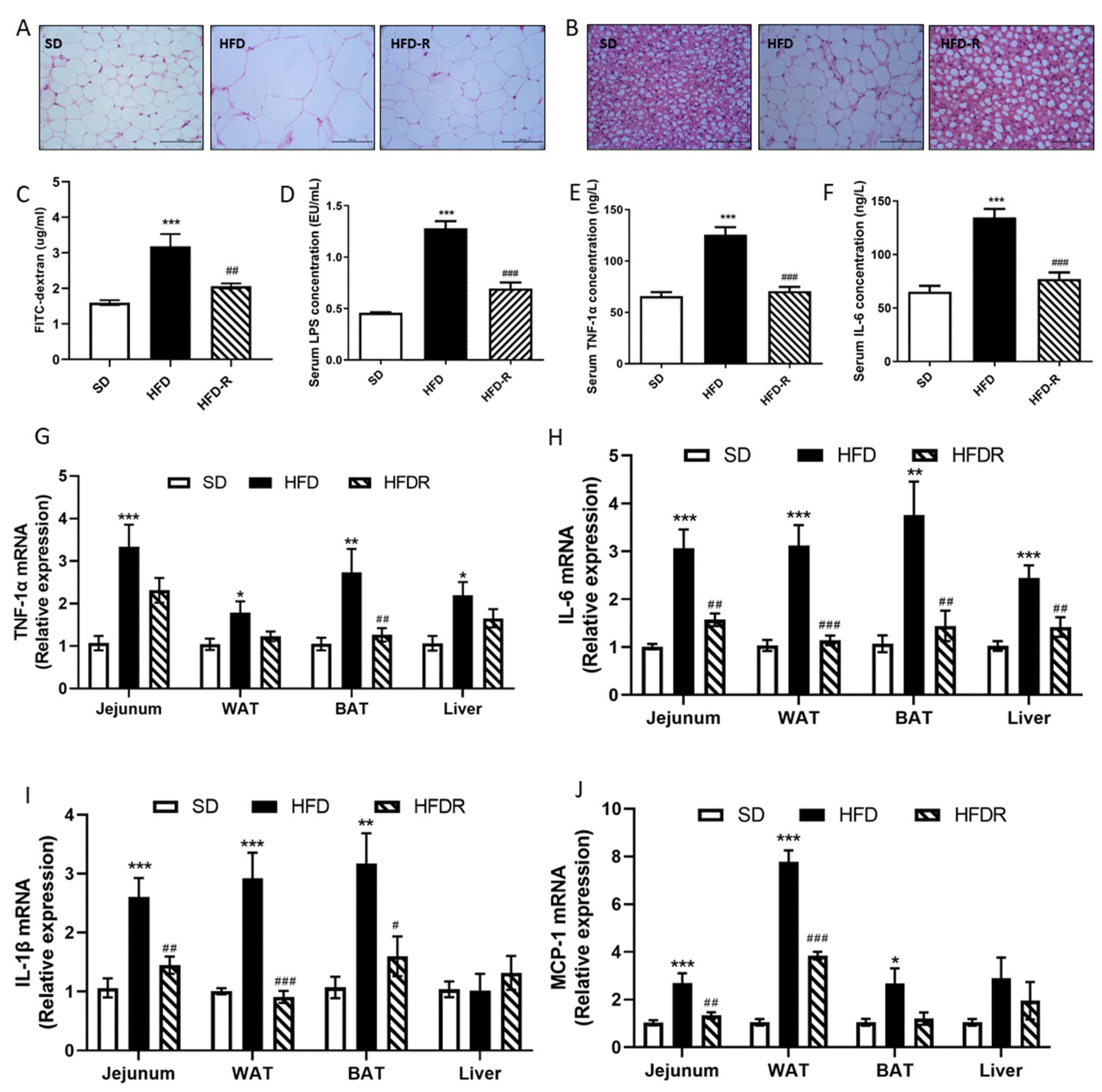 Nutrients 14 01994 g001