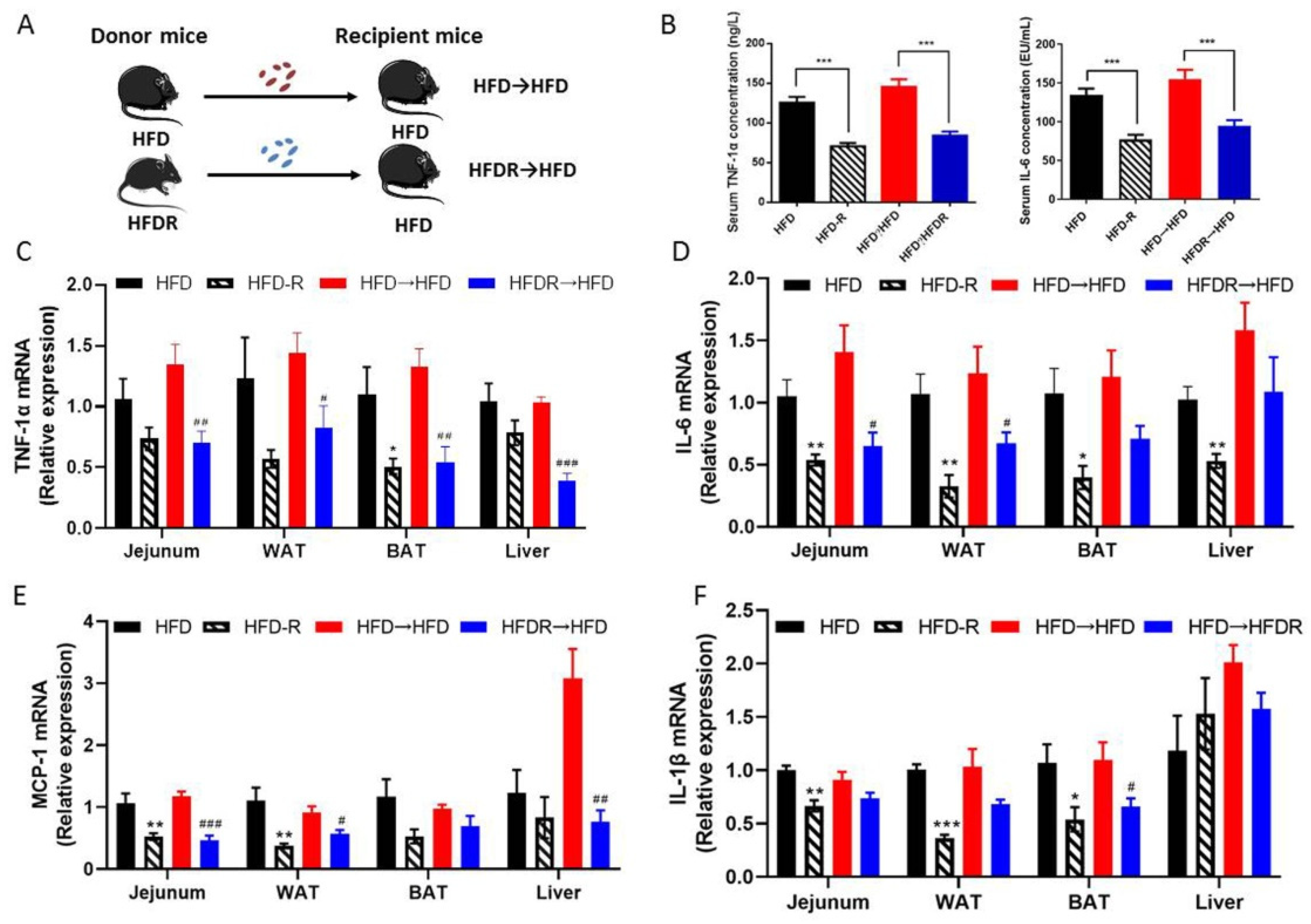 Nutrients 14 01994 g004