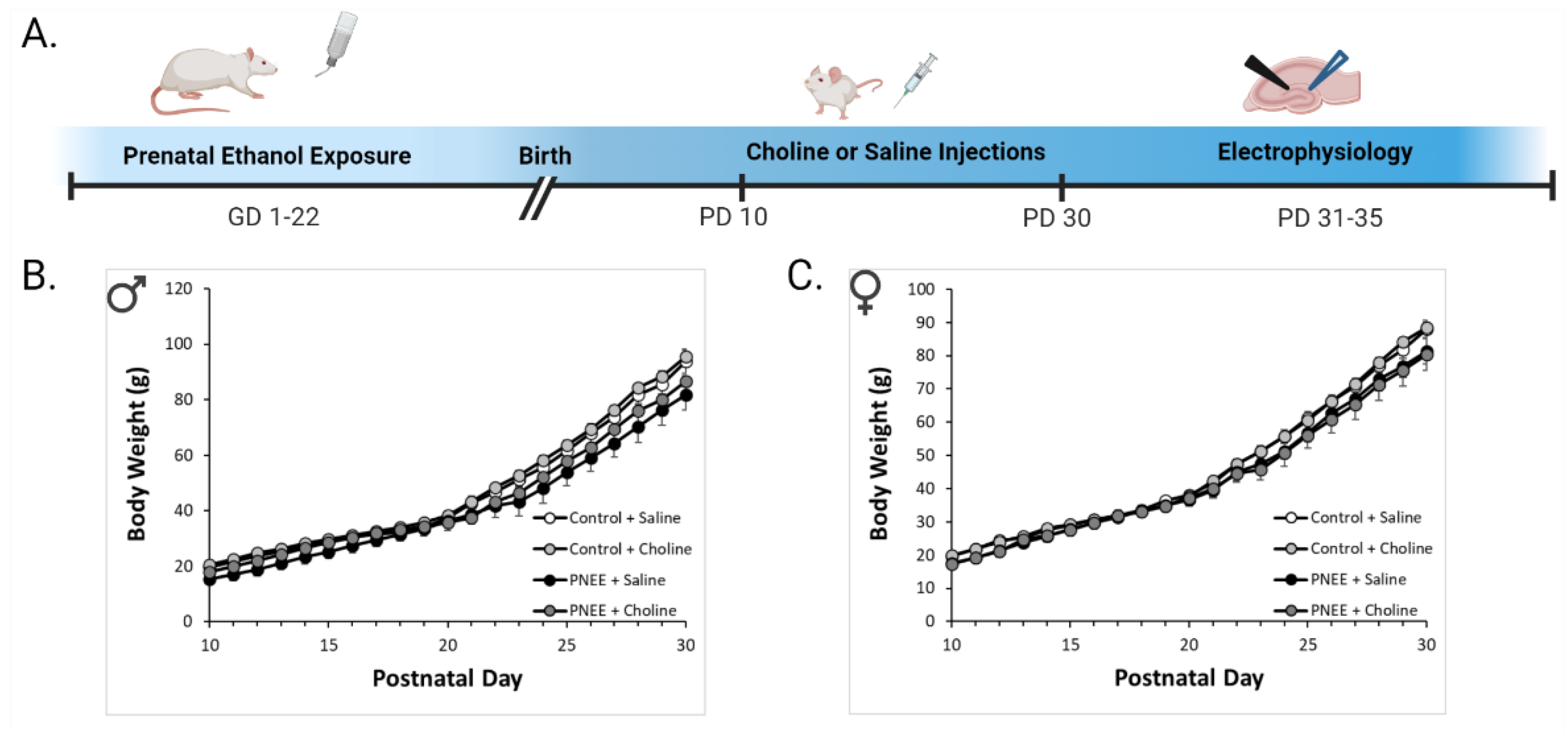 Nutrients 14 02004 g001