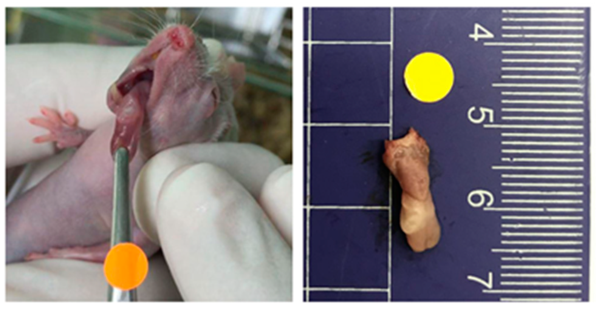 Nutrients 14 02023 g001