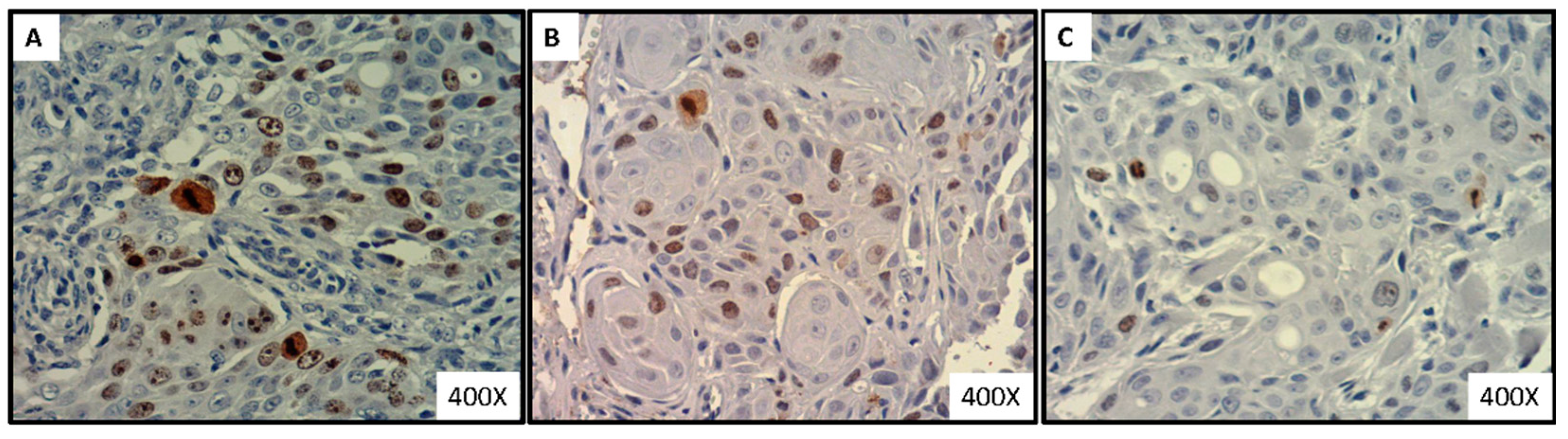 Nutrients 14 02023 g007a