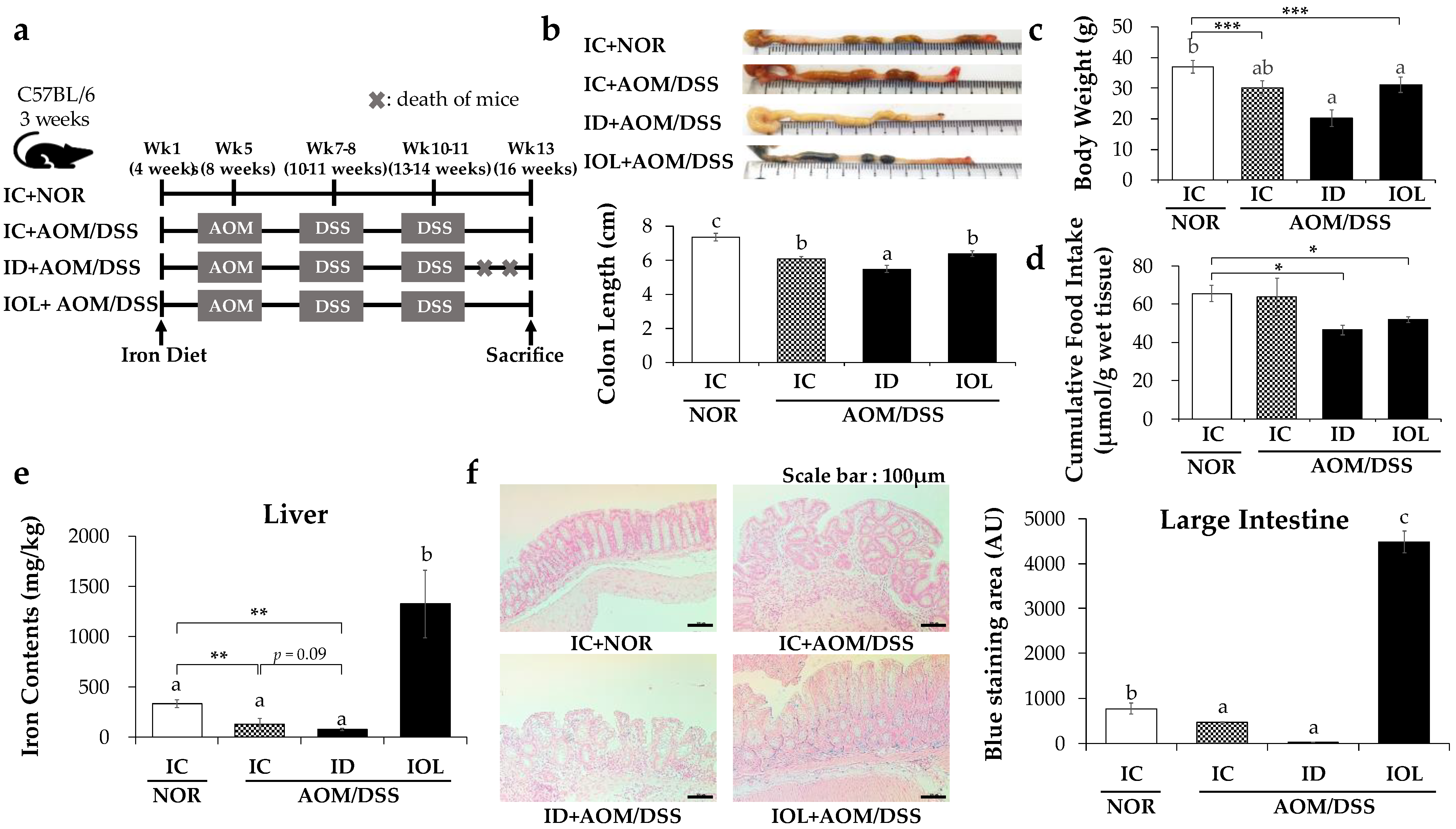Nutrients 14 02033 g001