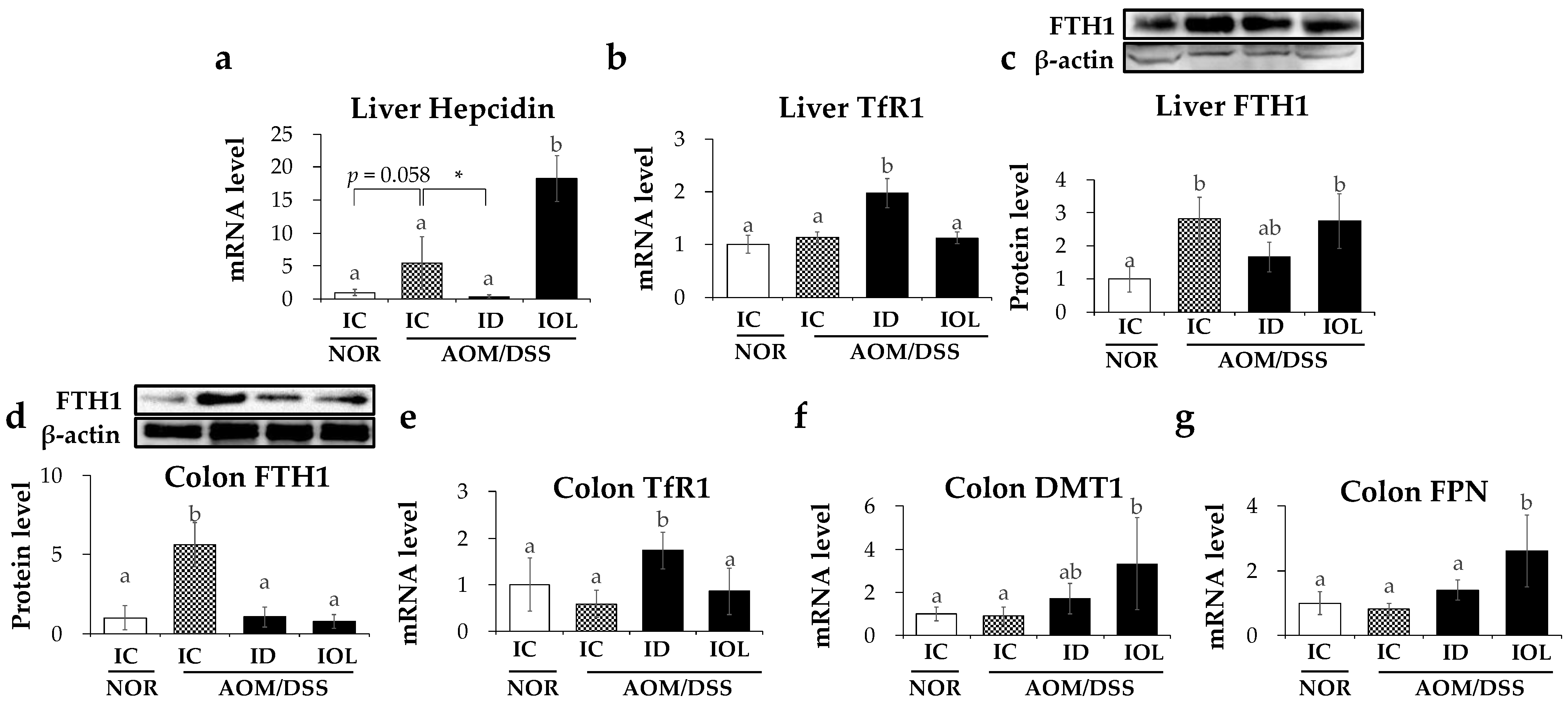 Nutrients 14 02033 g002