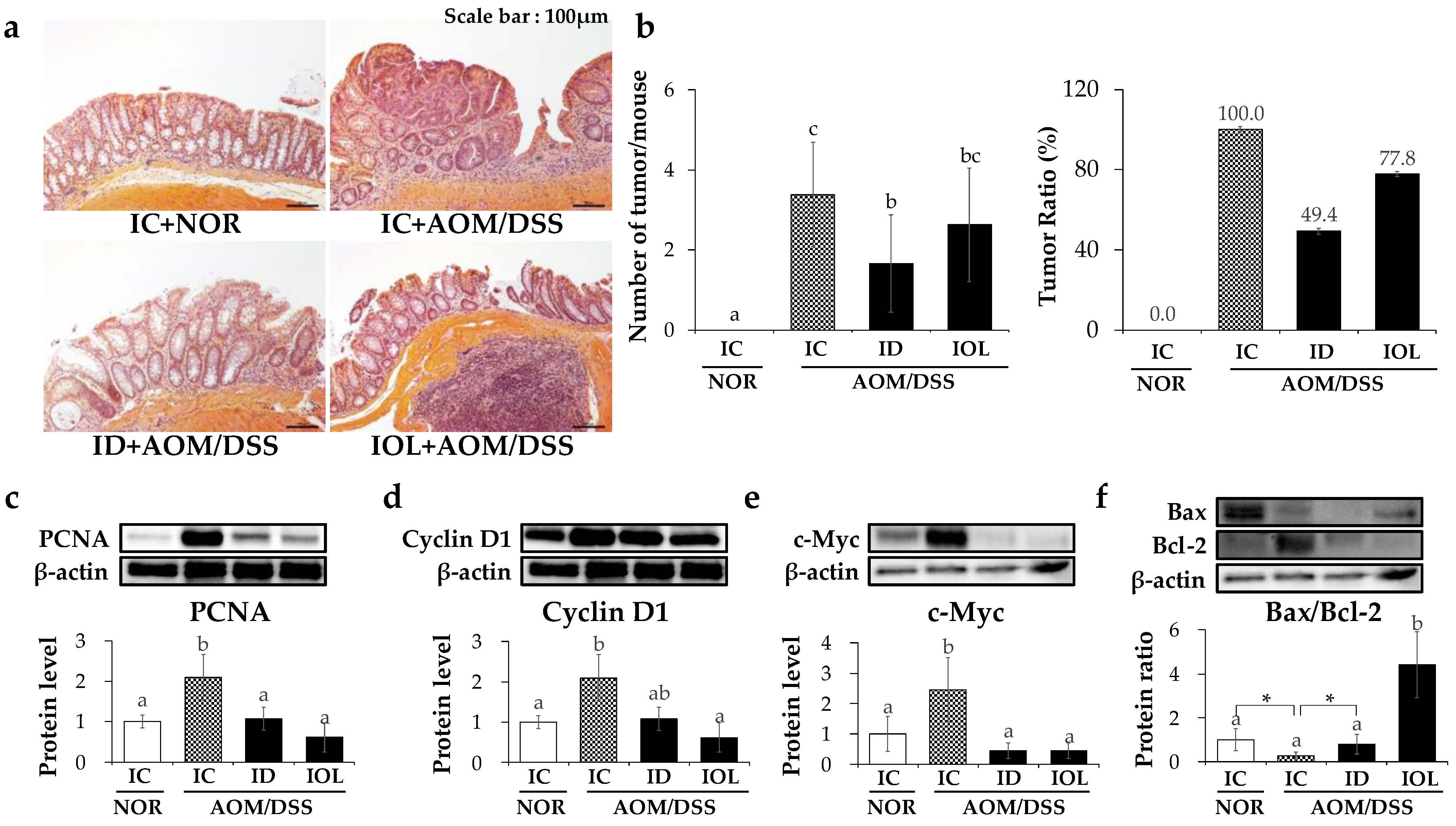 Nutrients 14 02033 g003