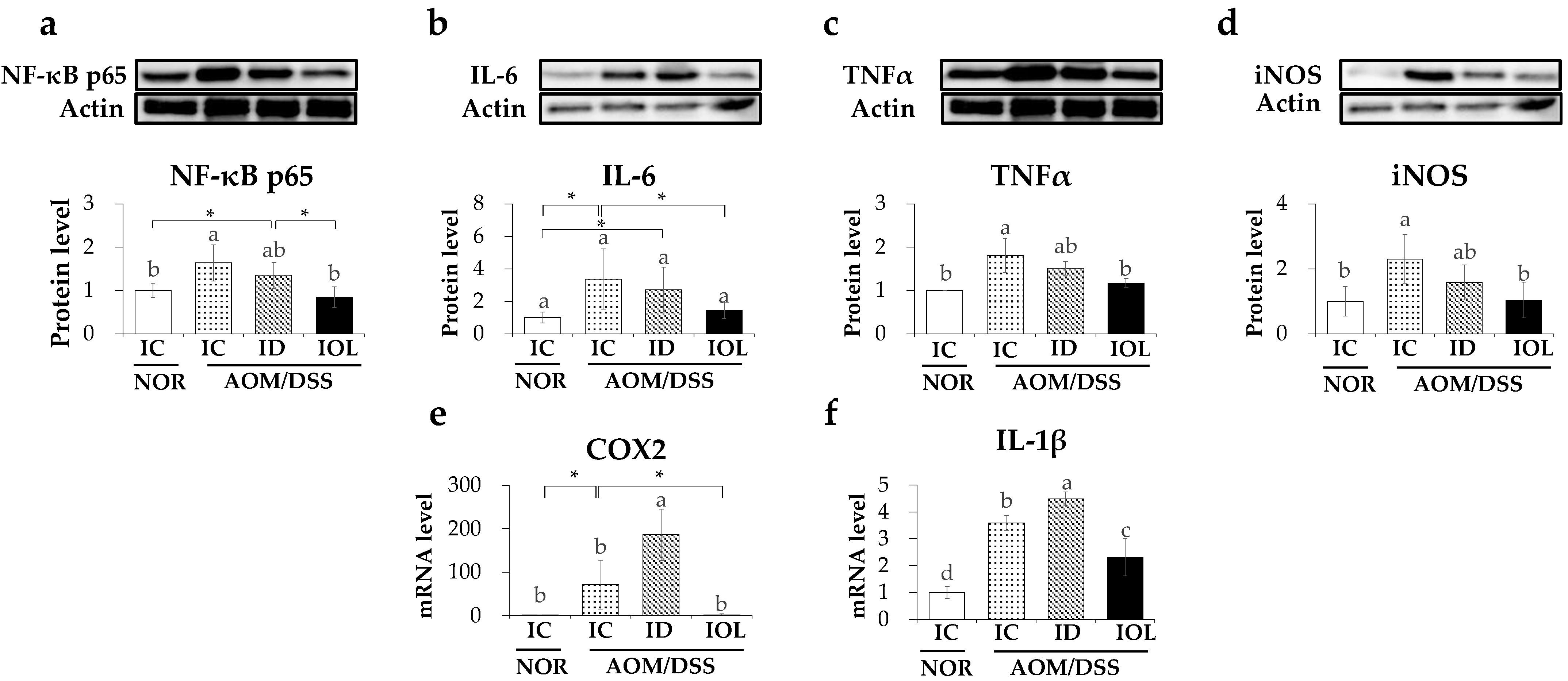 Nutrients 14 02033 g004