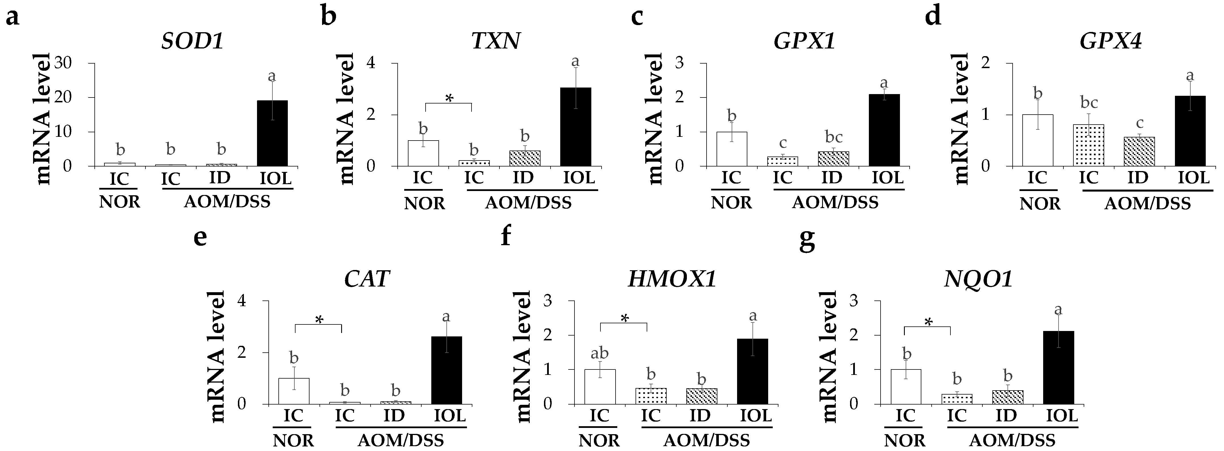 Nutrients 14 02033 g005