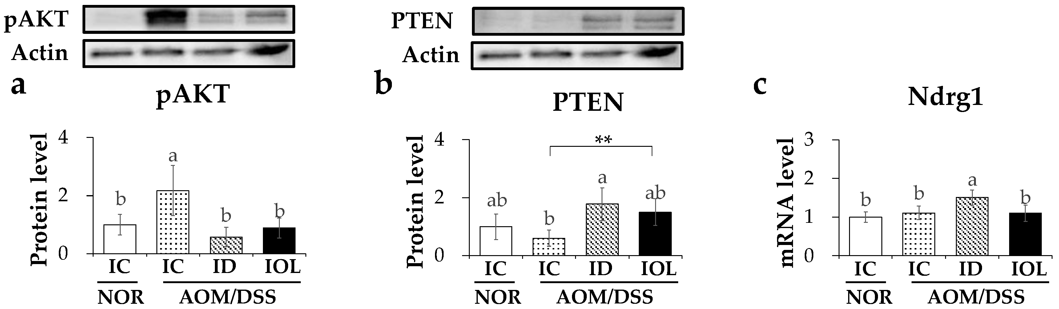 Nutrients 14 02033 g006