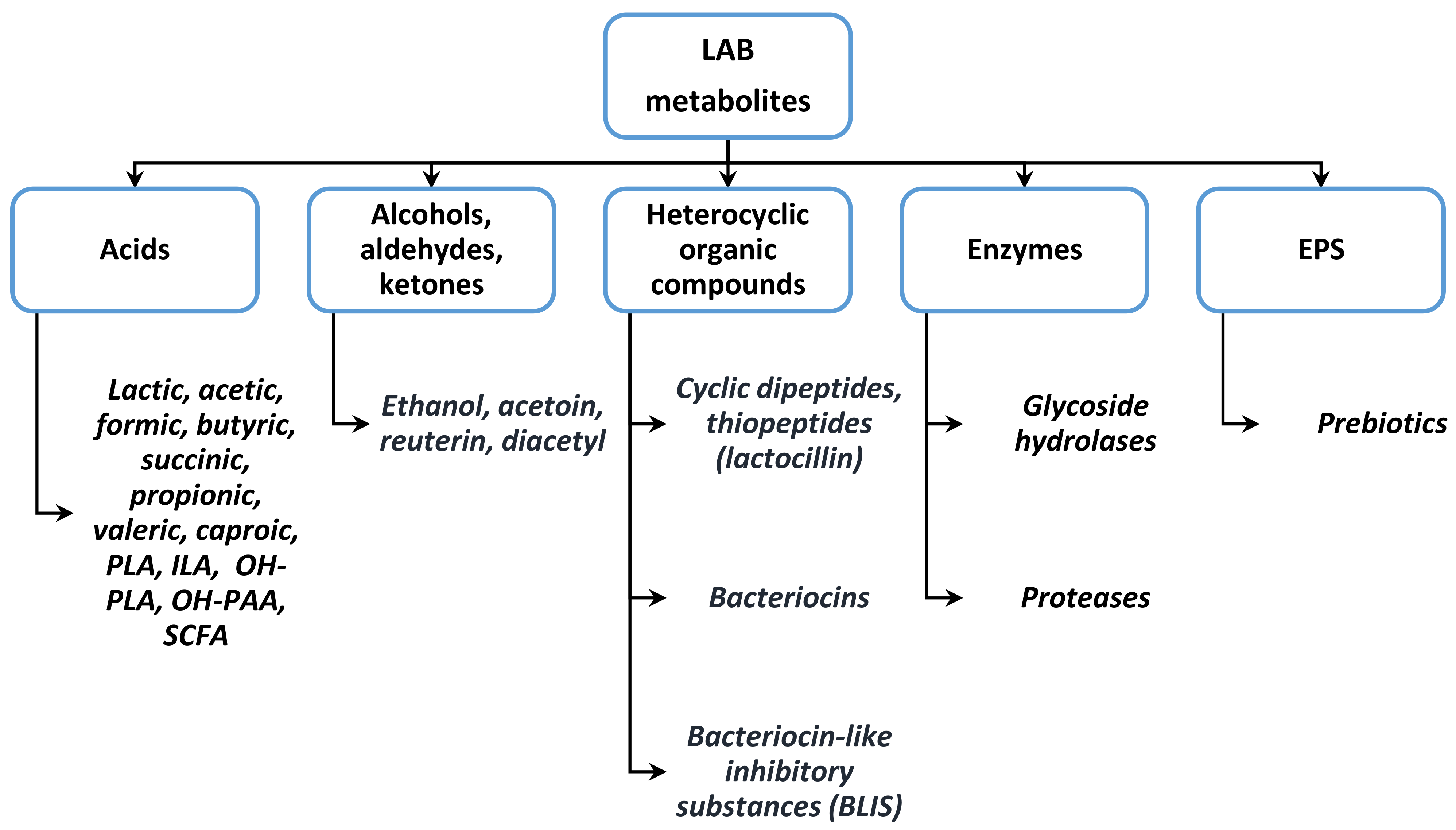 Nutrients 14 02038 g002