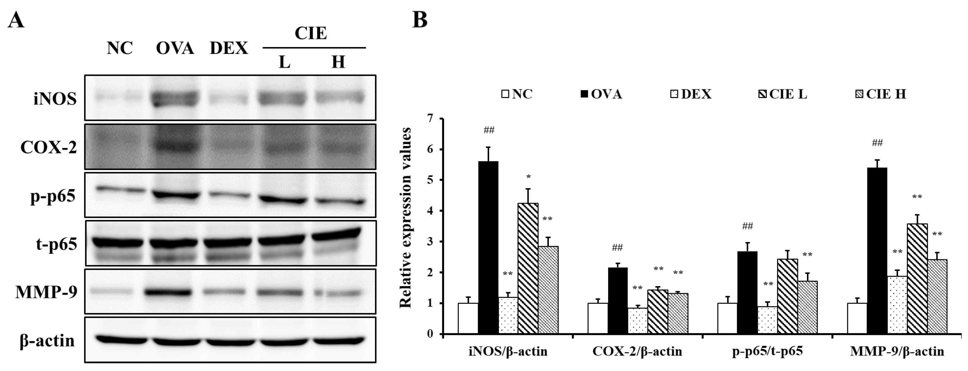 Nutrients 14 02067 g007