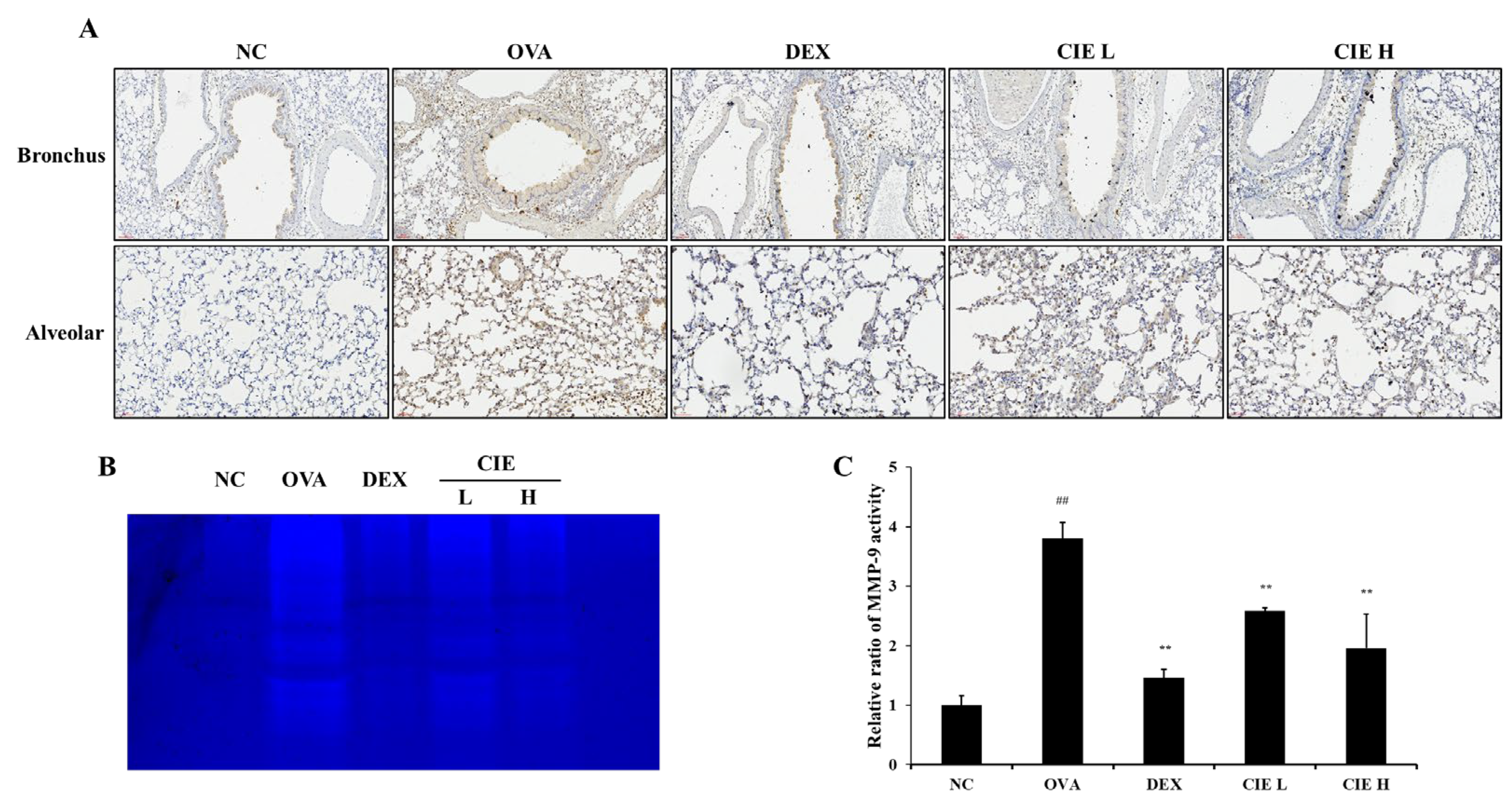 Nutrients 14 02067 g008