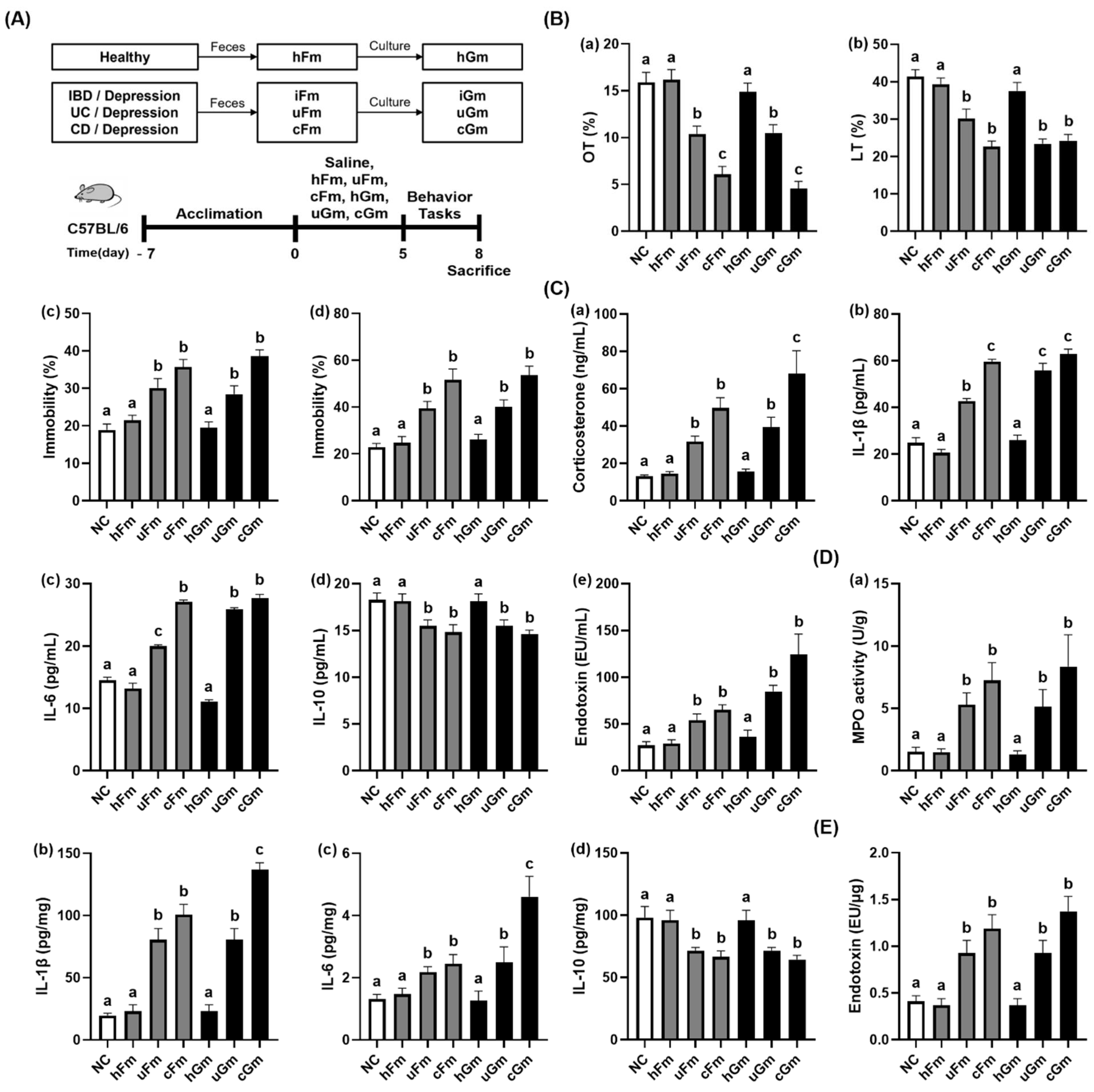 Nutrients 14 02080 g001