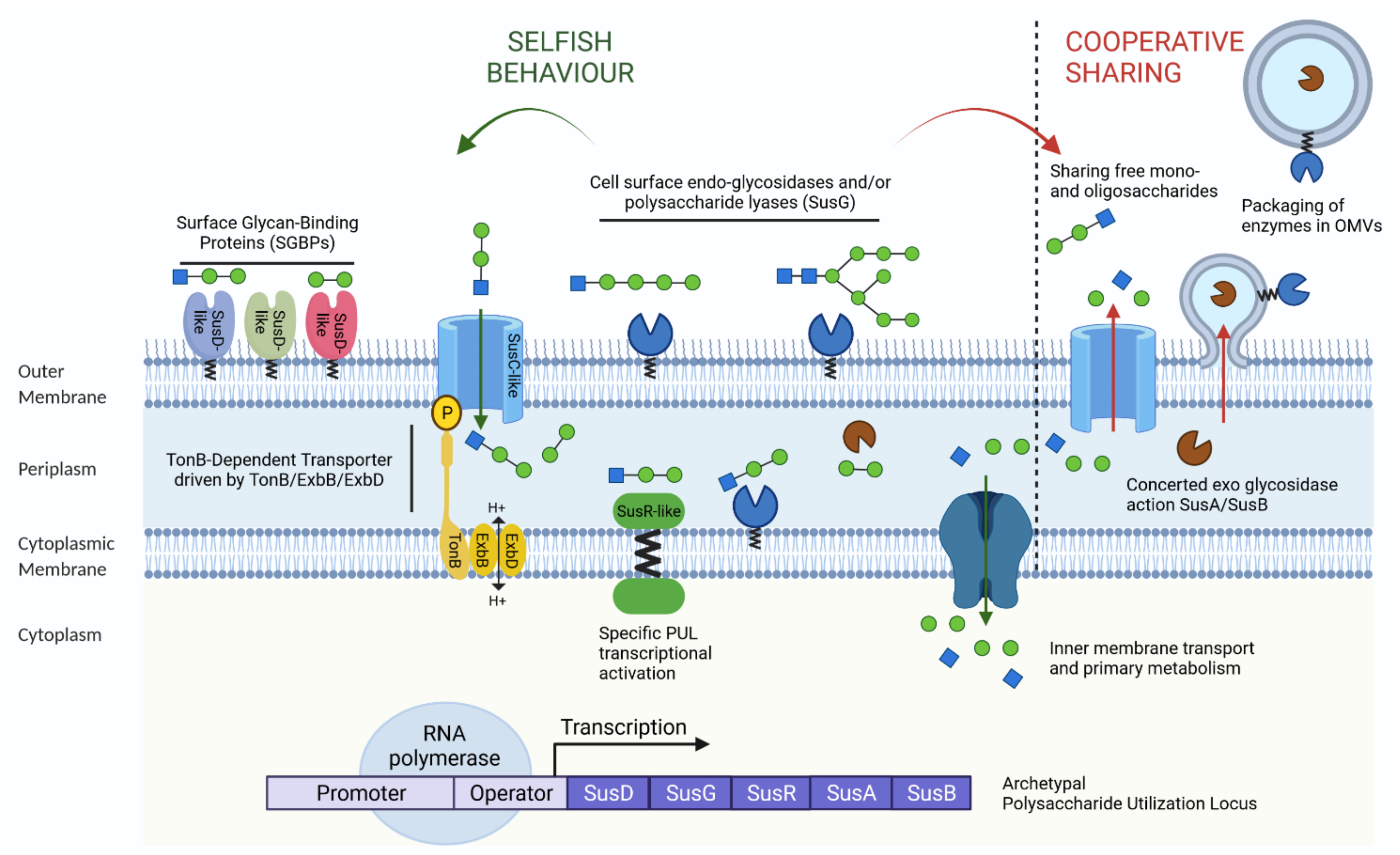 Nutrients 14 02096 g001