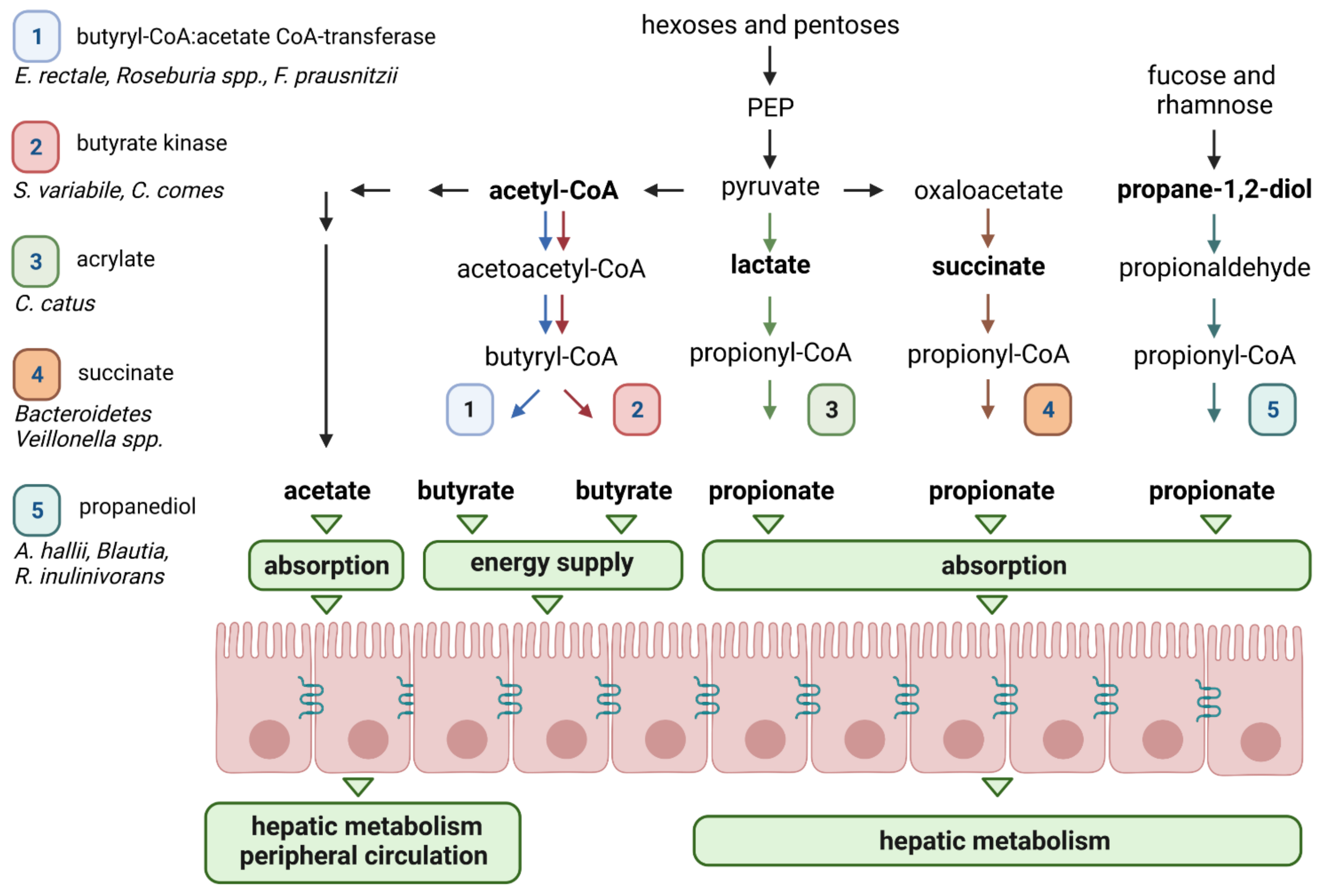Nutrients 14 02096 g002
