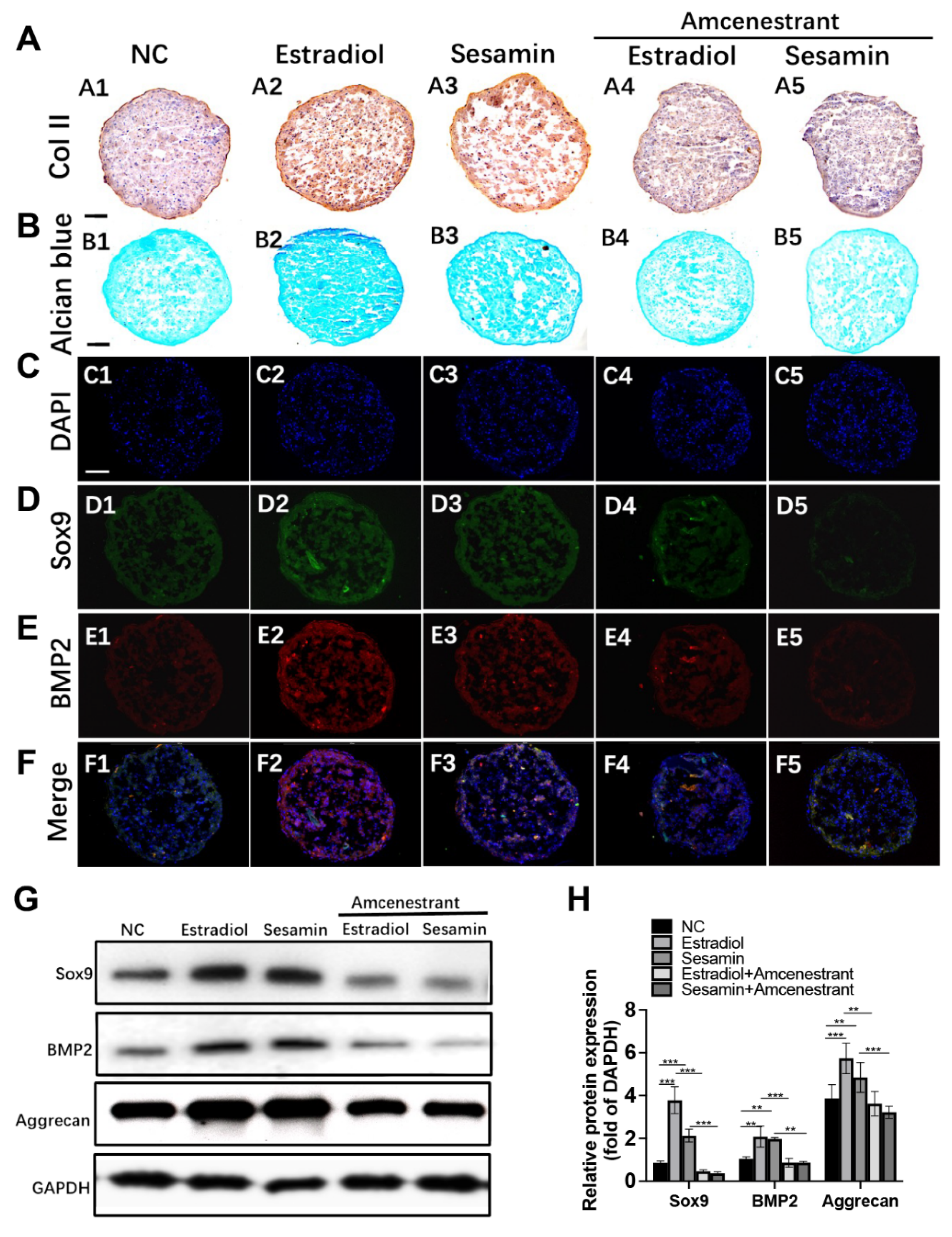 Nutrients 14 02106 g003