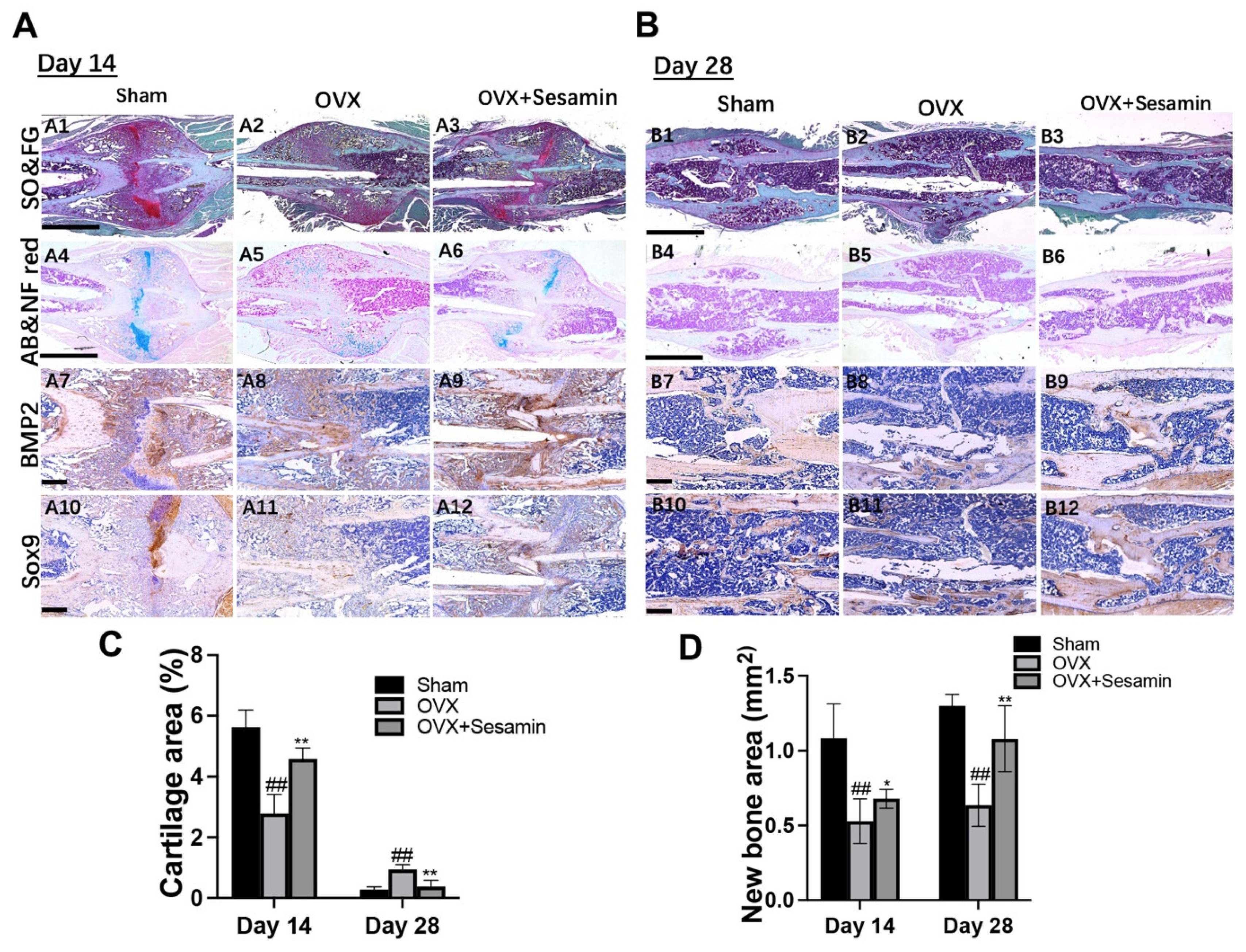 Nutrients 14 02106 g005