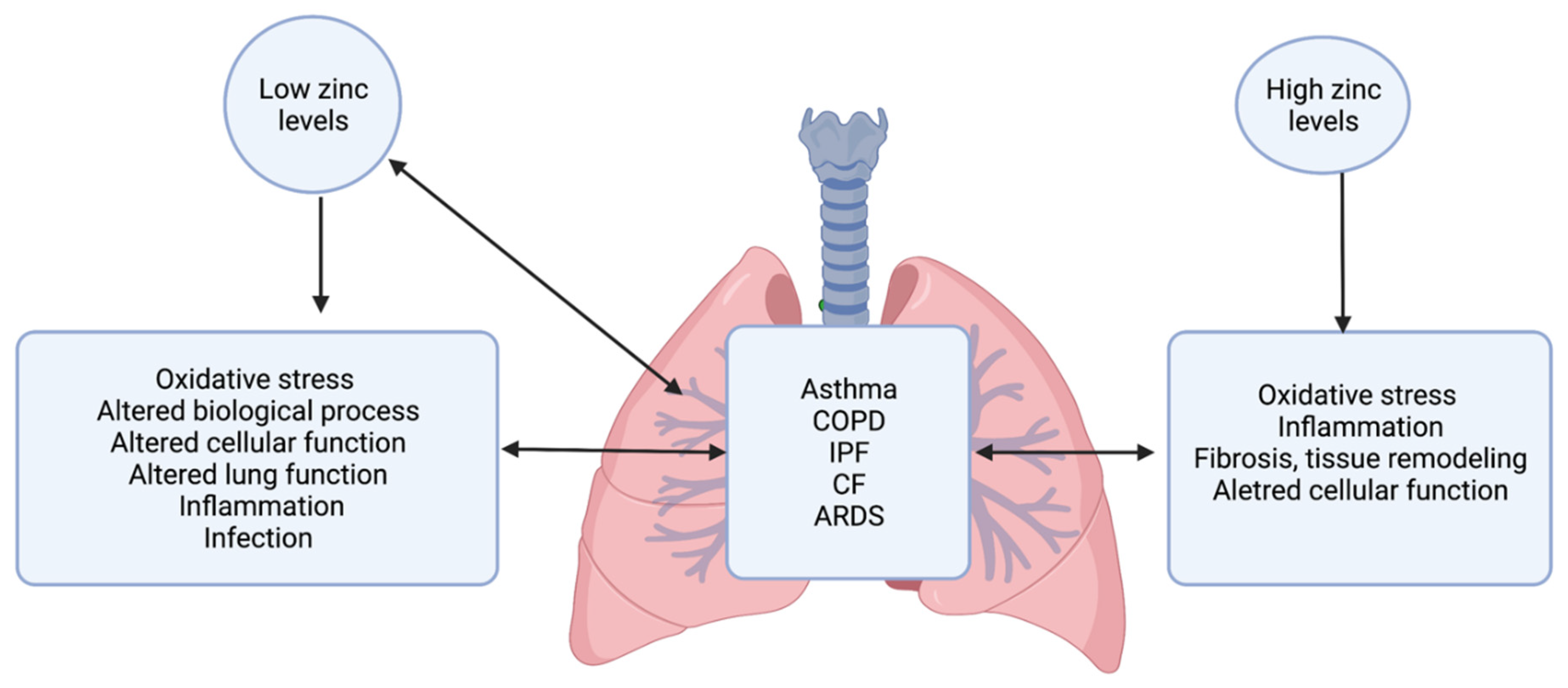 Nutrients 14 02115 g001 Nutrients 14 02115 g001