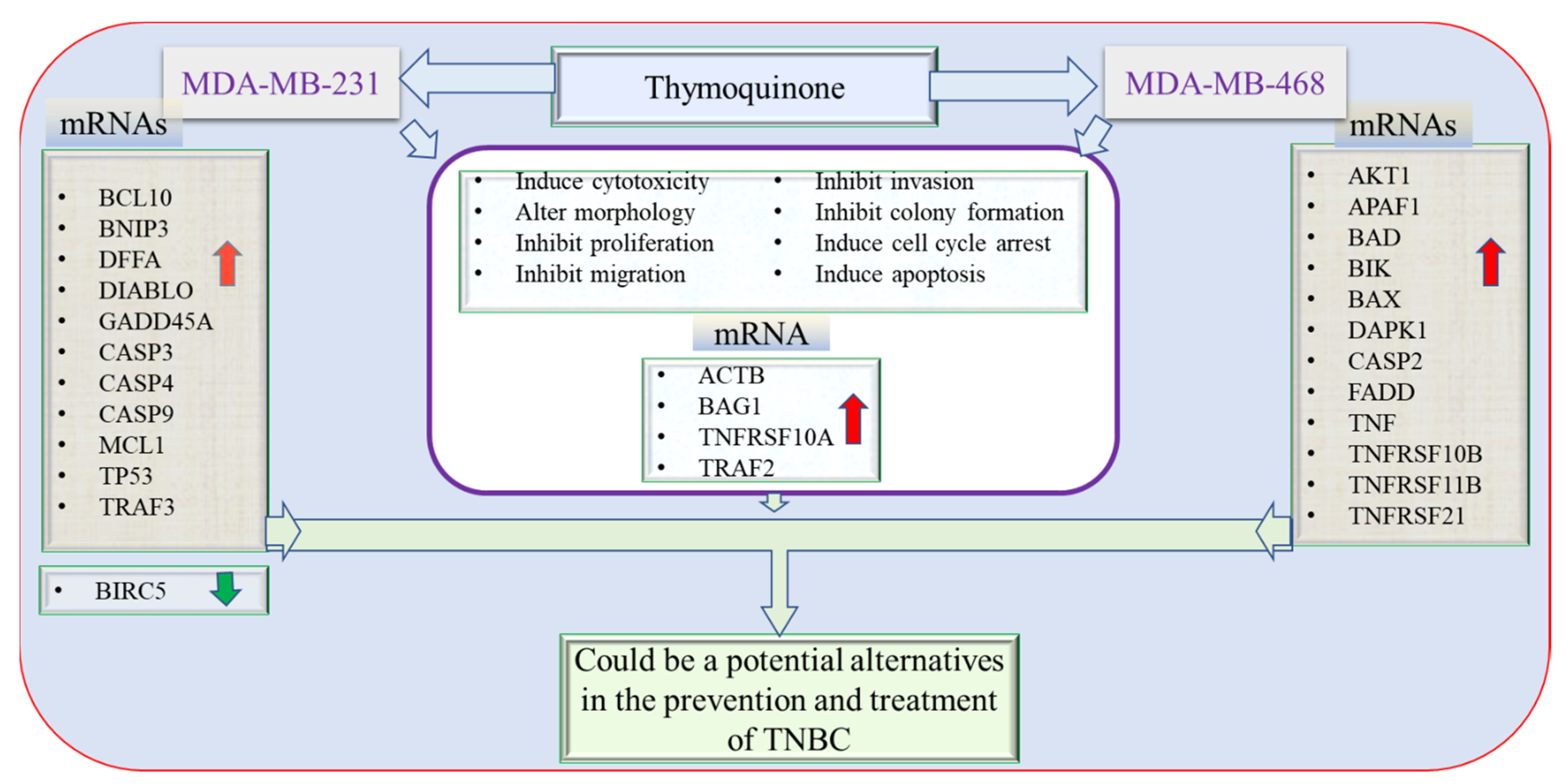 Nutrients 14 02120 g010 Nutrients 14 02120 g010