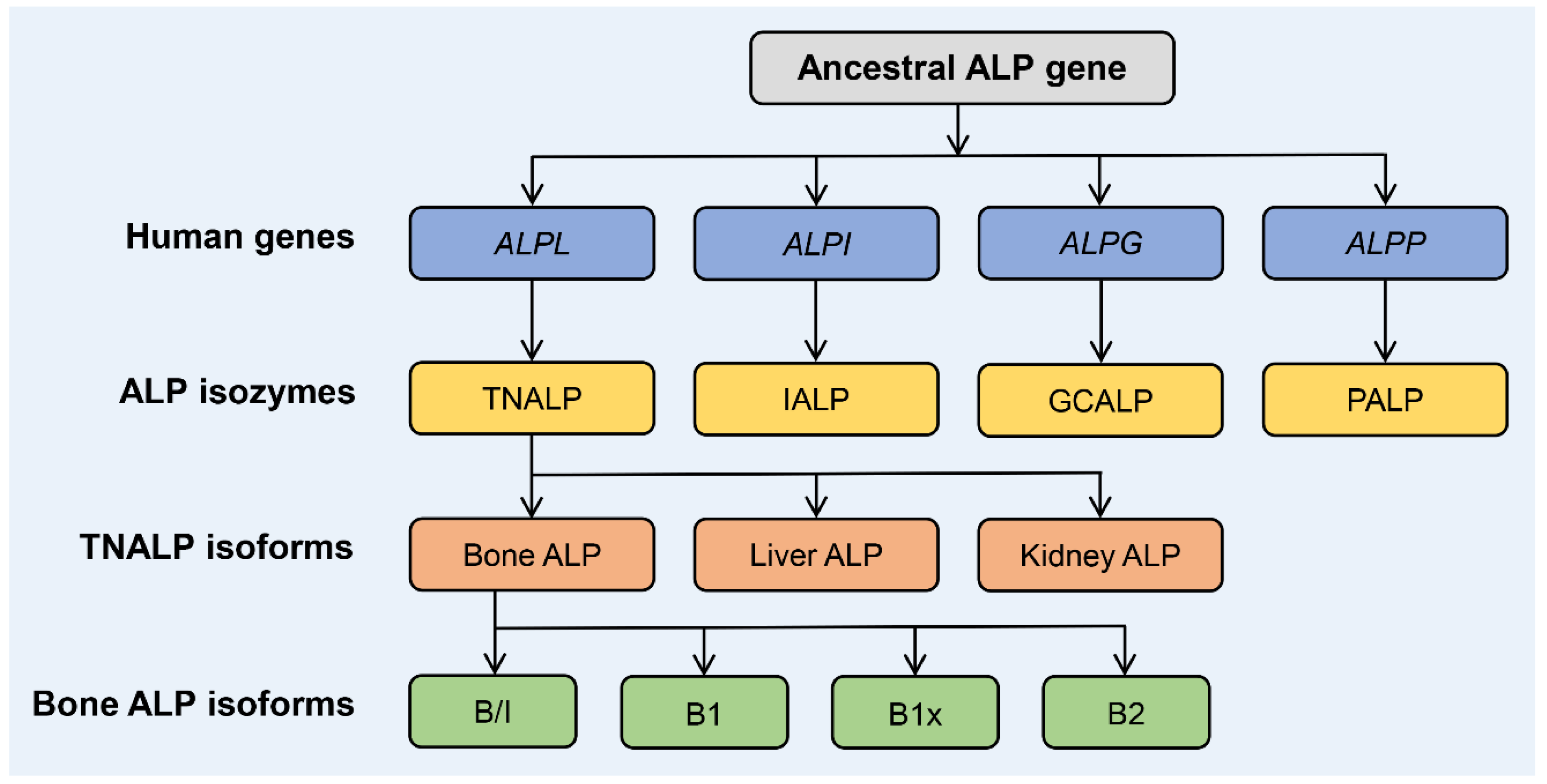 Nutrients 14 02124 g001